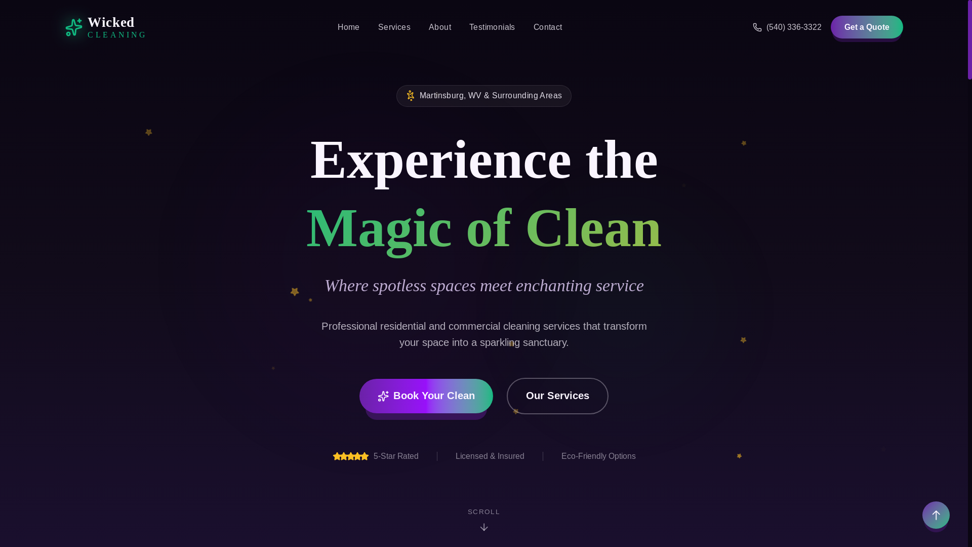 website screenshot of https://wicked-clean-website.pages.dev/