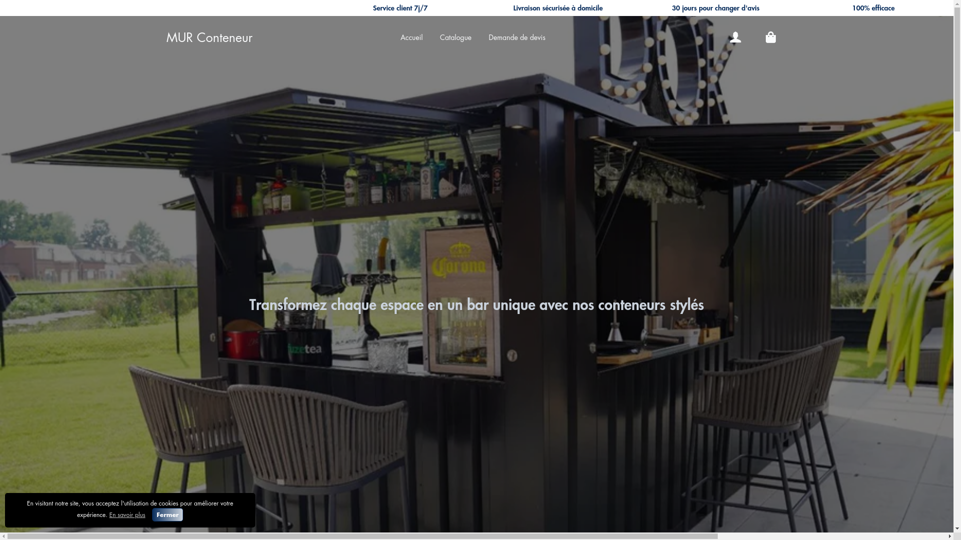 website screenshot of https://murconteneur.store/