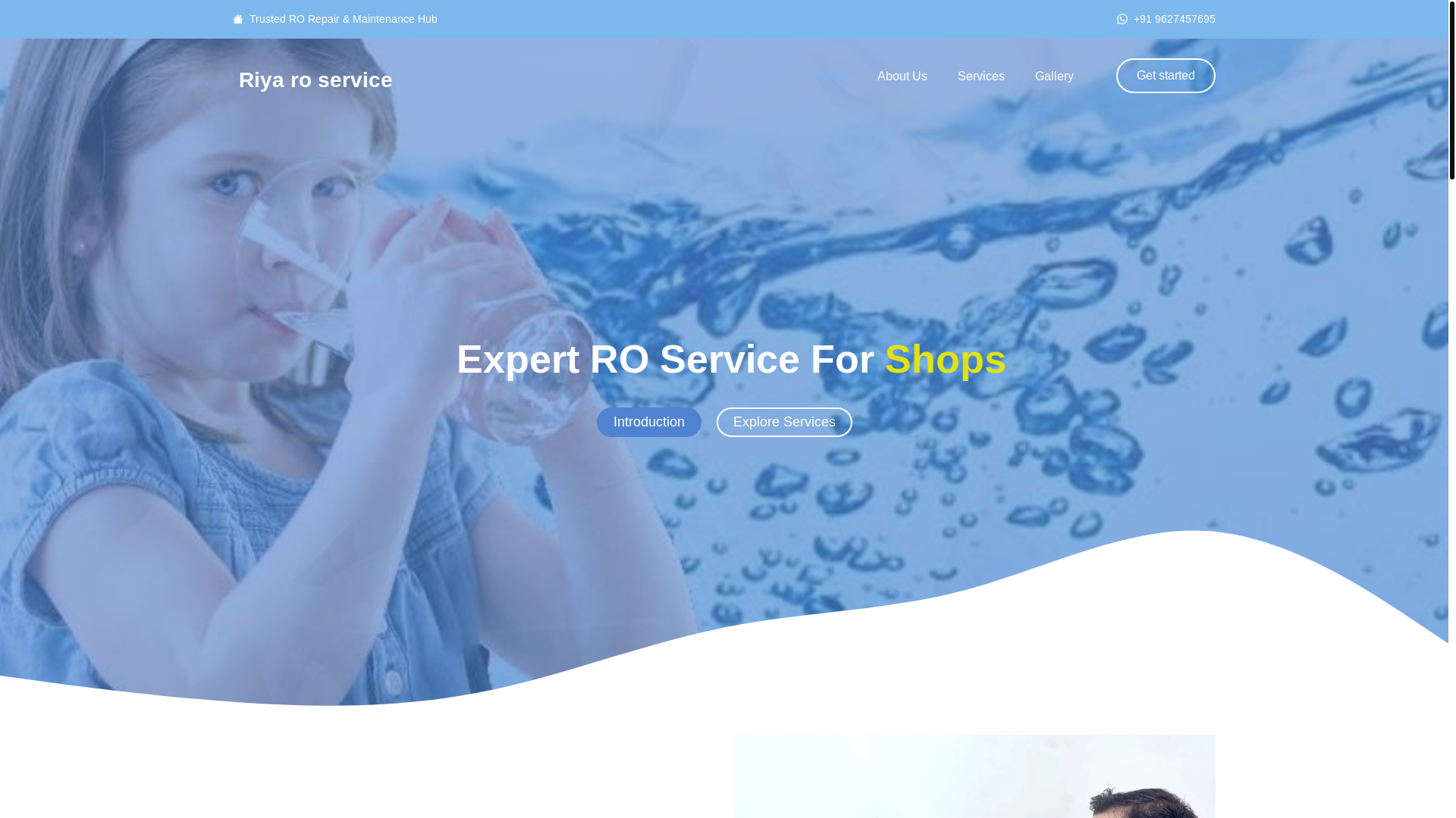 website screenshot of https://riyaroservice.in/