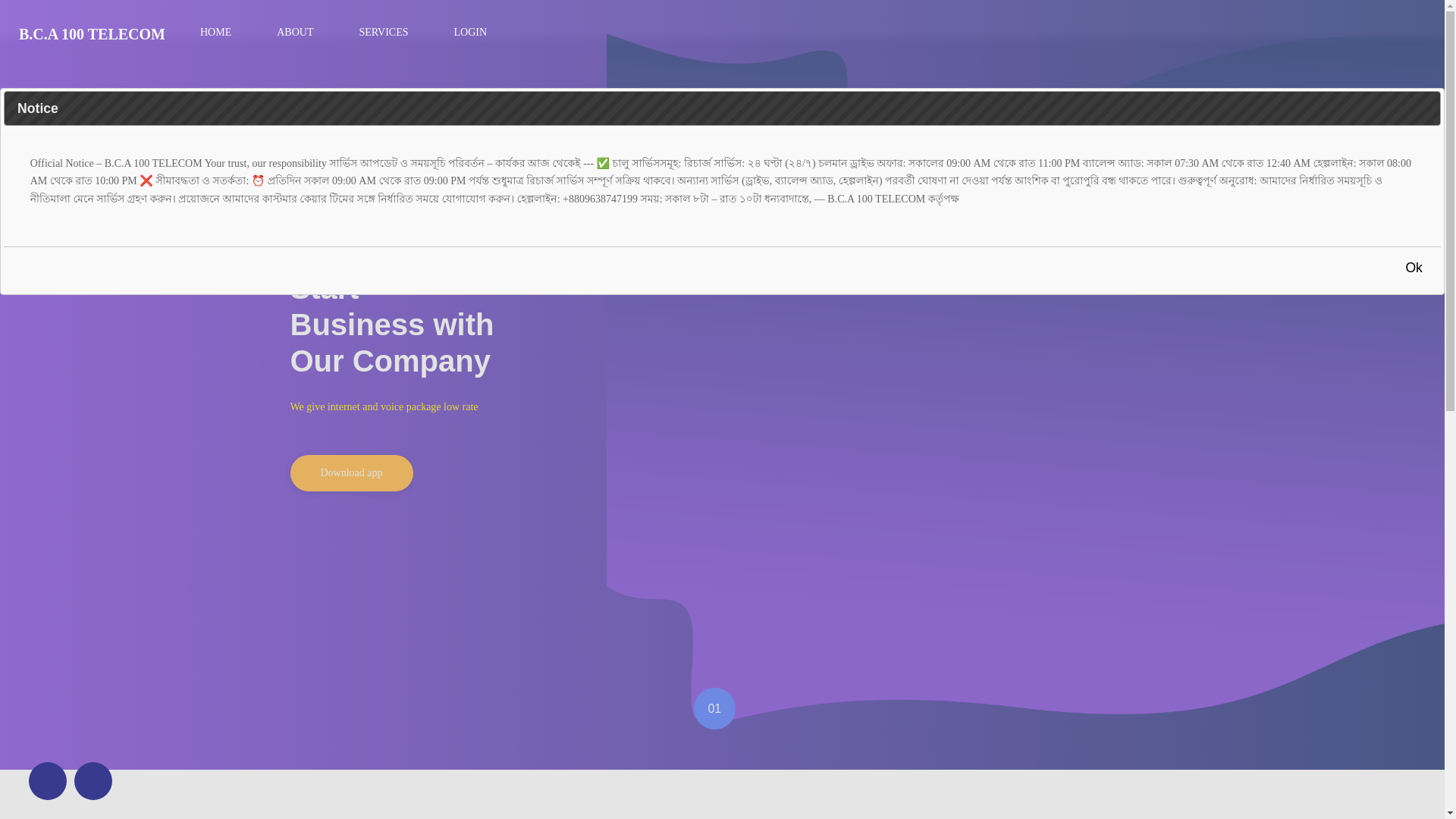 website screenshot of https://bca100telecom.top/