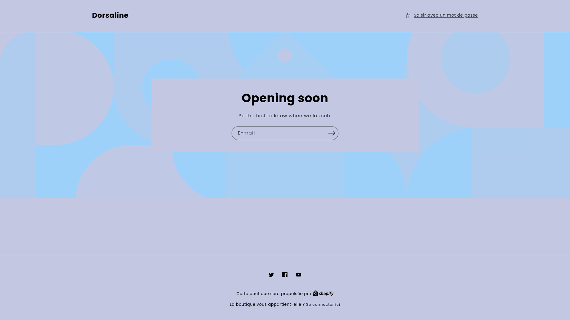 website screenshot of https://dorsaline.com/