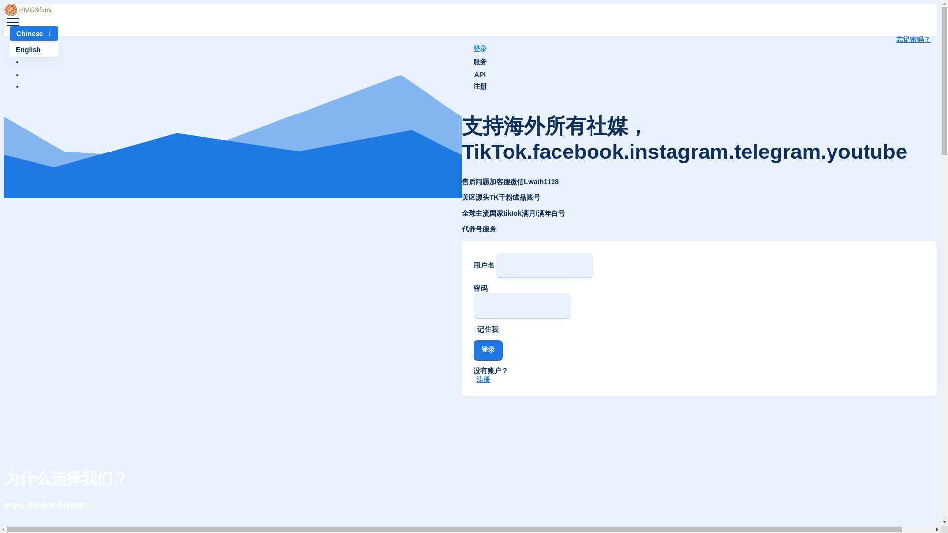 website screenshot of https://hmgfans.top/