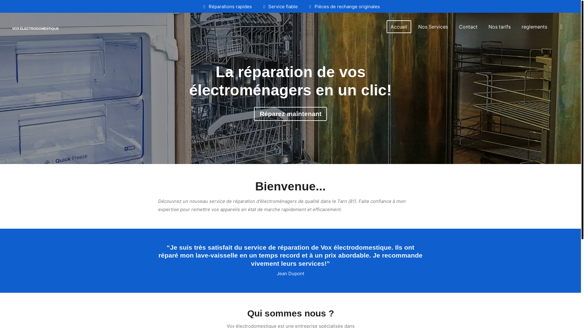 website screenshot of https://vox-electrodomestique.com/