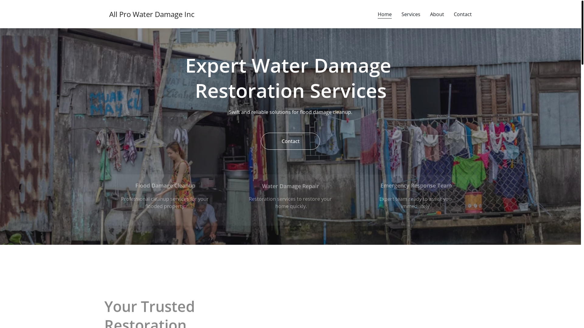website screenshot of https://allprowaterdamage.site/