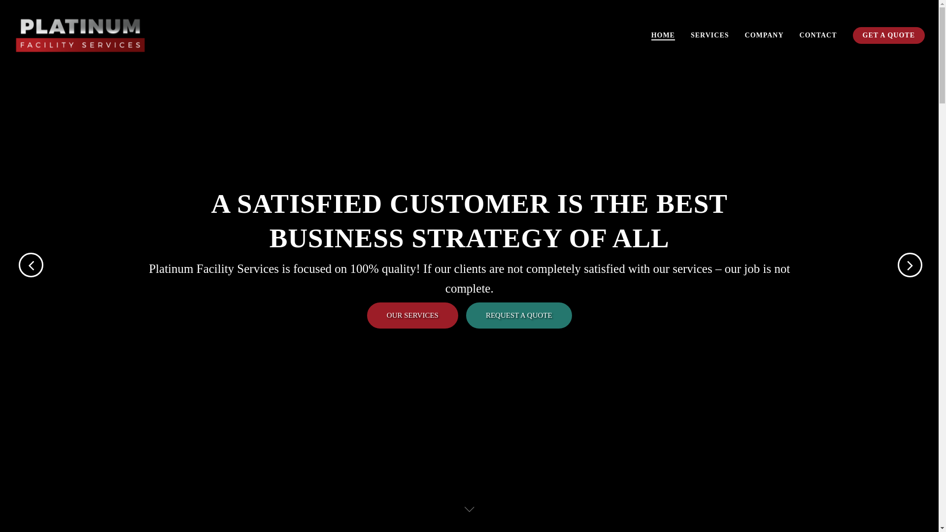 website screenshot of https://platinumsrvce.com/