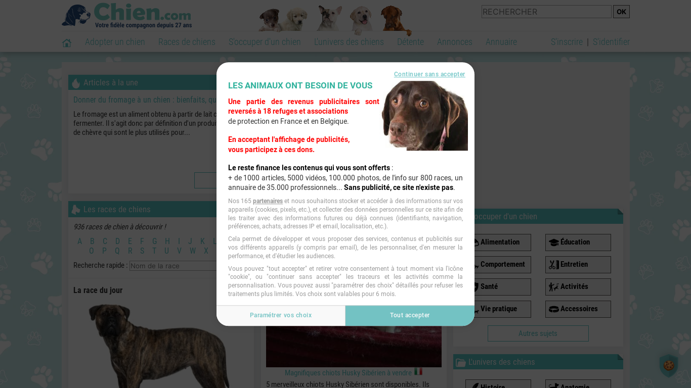 website screenshot of https://chien.com/