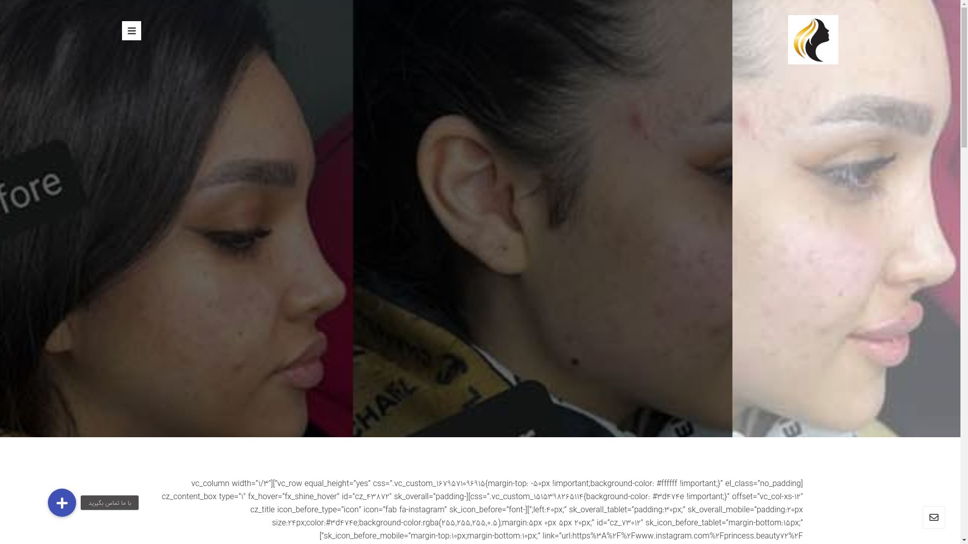 website screenshot of https://mikazuki-pishghadam.ir/