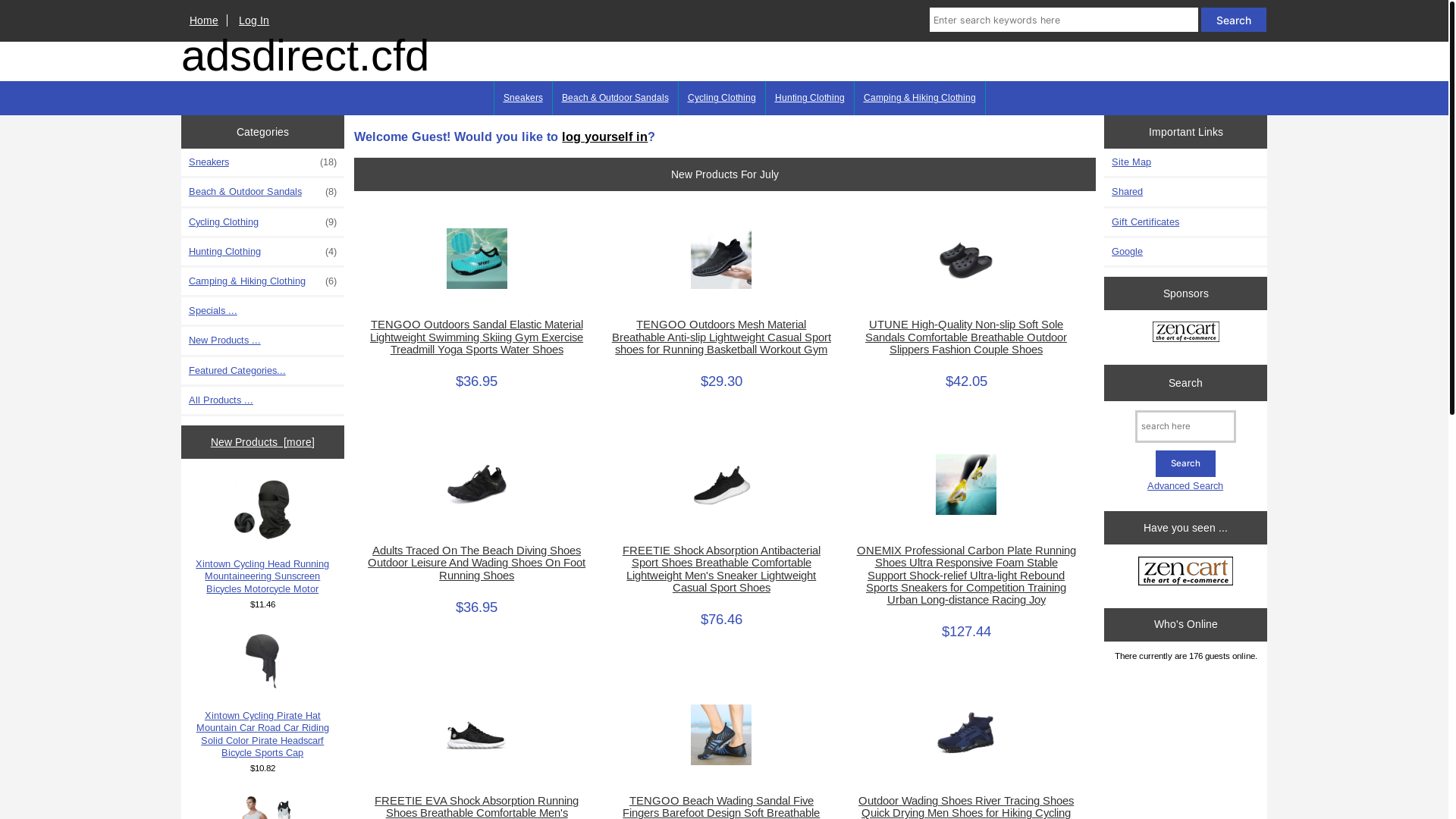website screenshot of https://adsdirect.cfd/