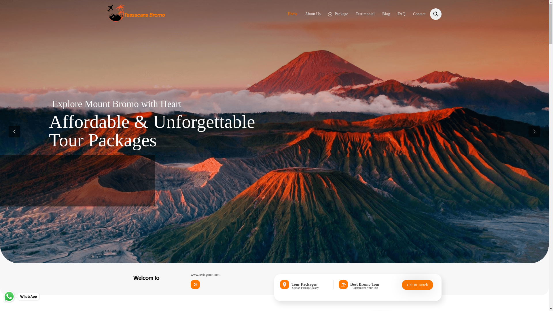 website screenshot of https://tessacansbromo.com/