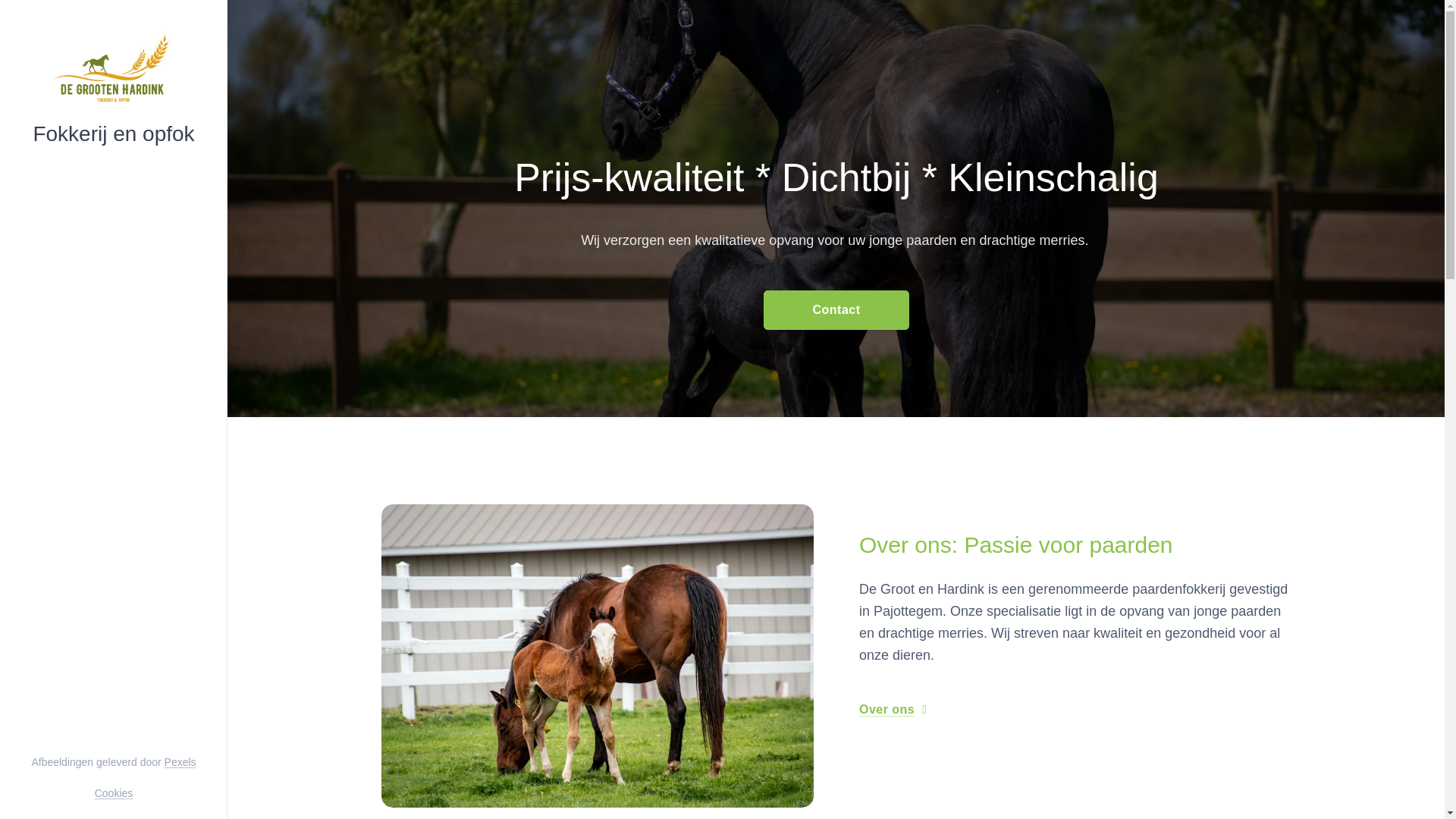 website screenshot of https://degrootenhardink.be/