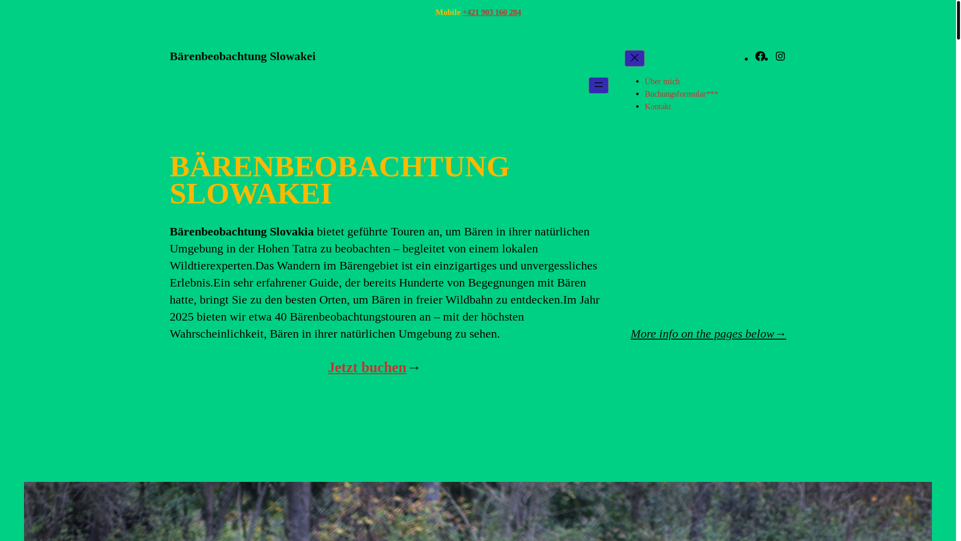 website screenshot of https://baerenbeobachtung.com/