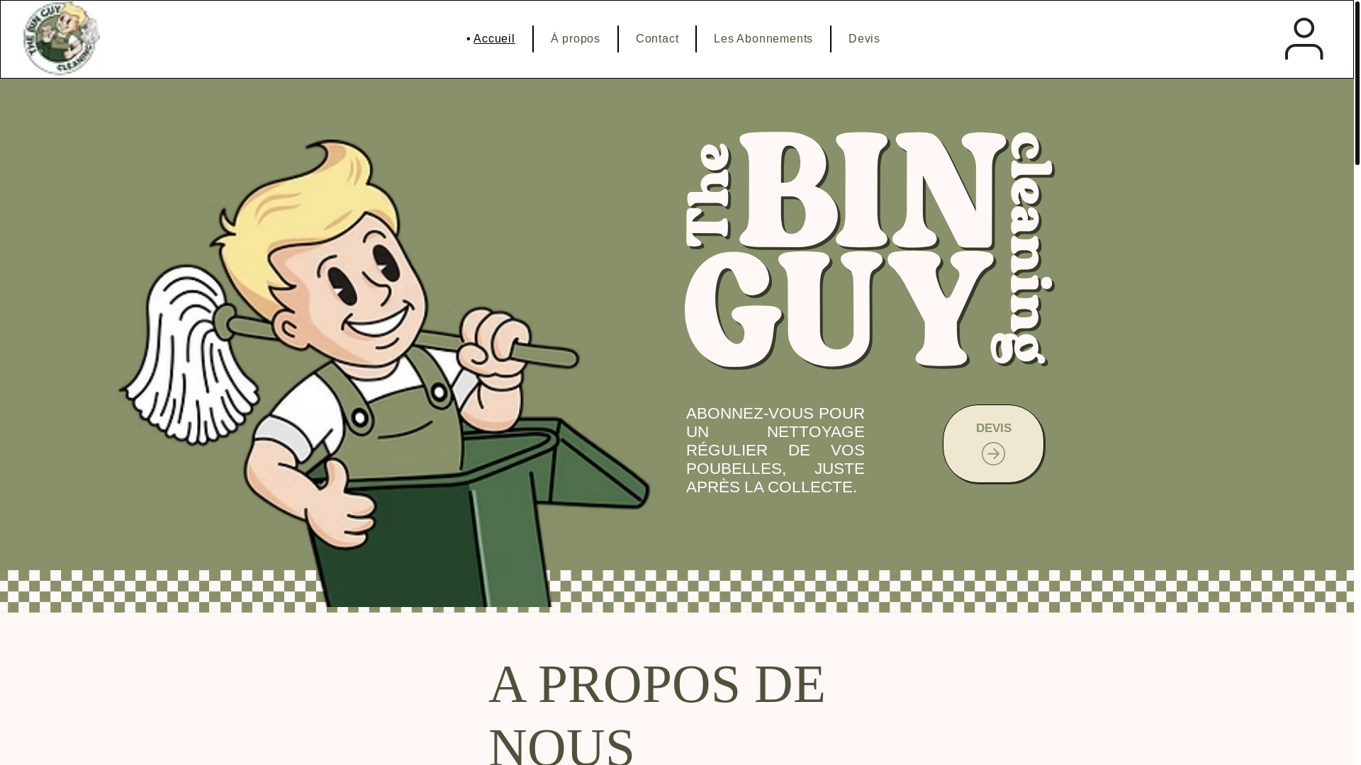 website screenshot of https://thebinguy.be/