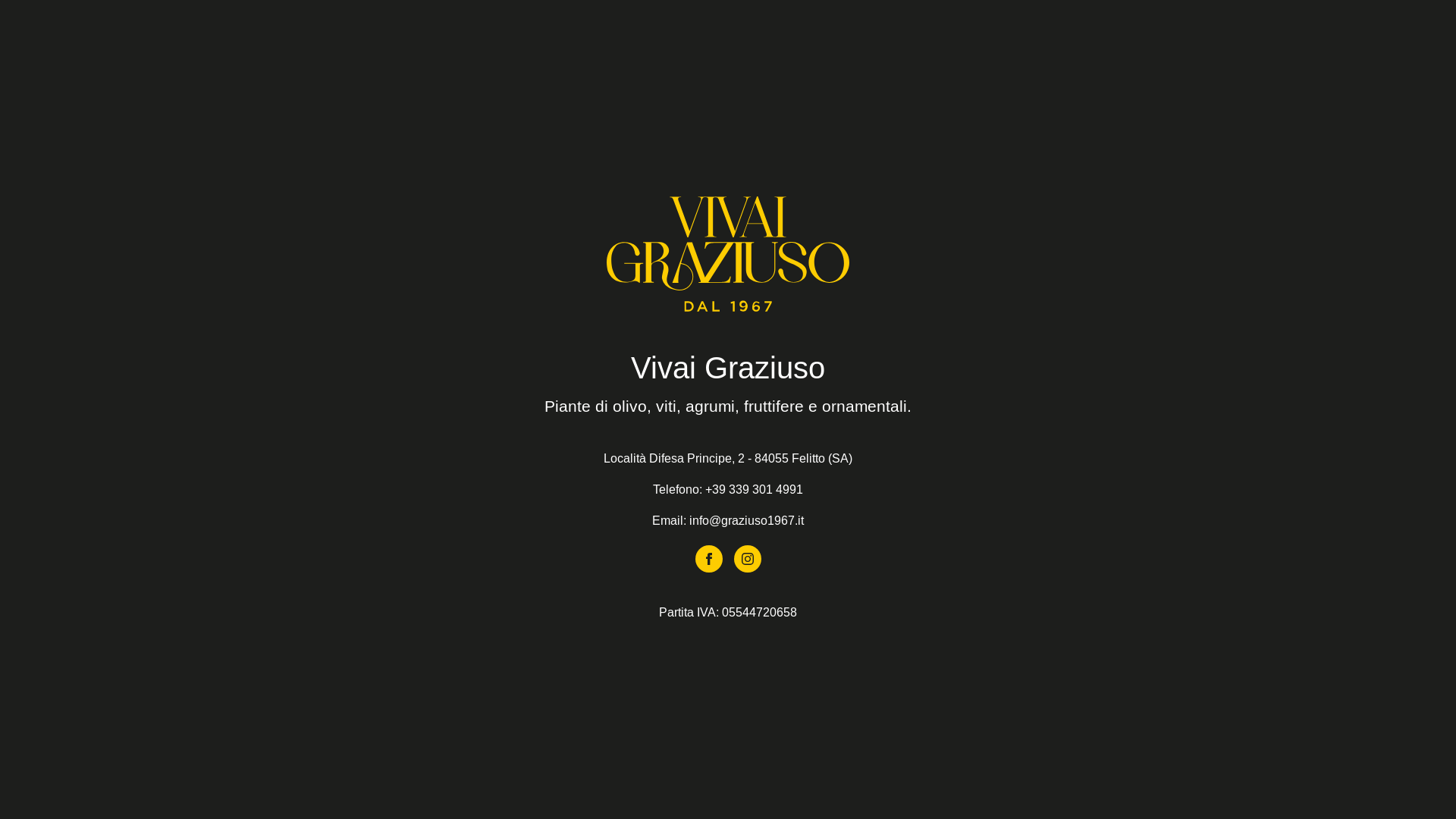 website screenshot of https://vivaimichelegraziuso.it/