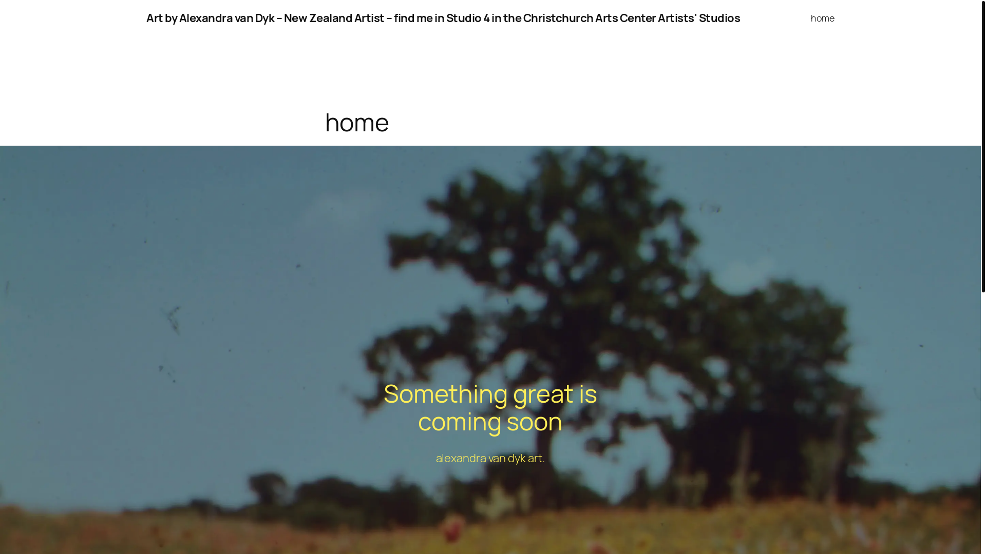 website screenshot of https://alexvandyk.com/