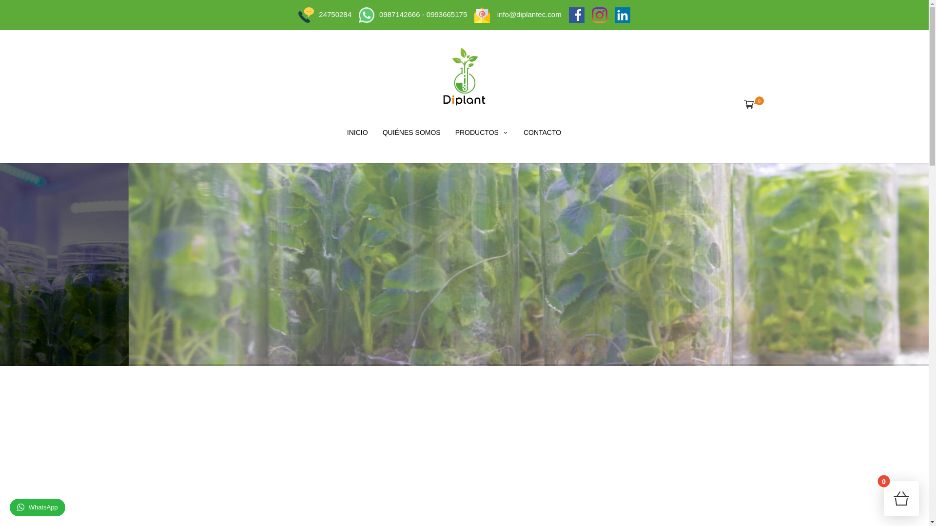 website screenshot of https://diplant.com.ec/