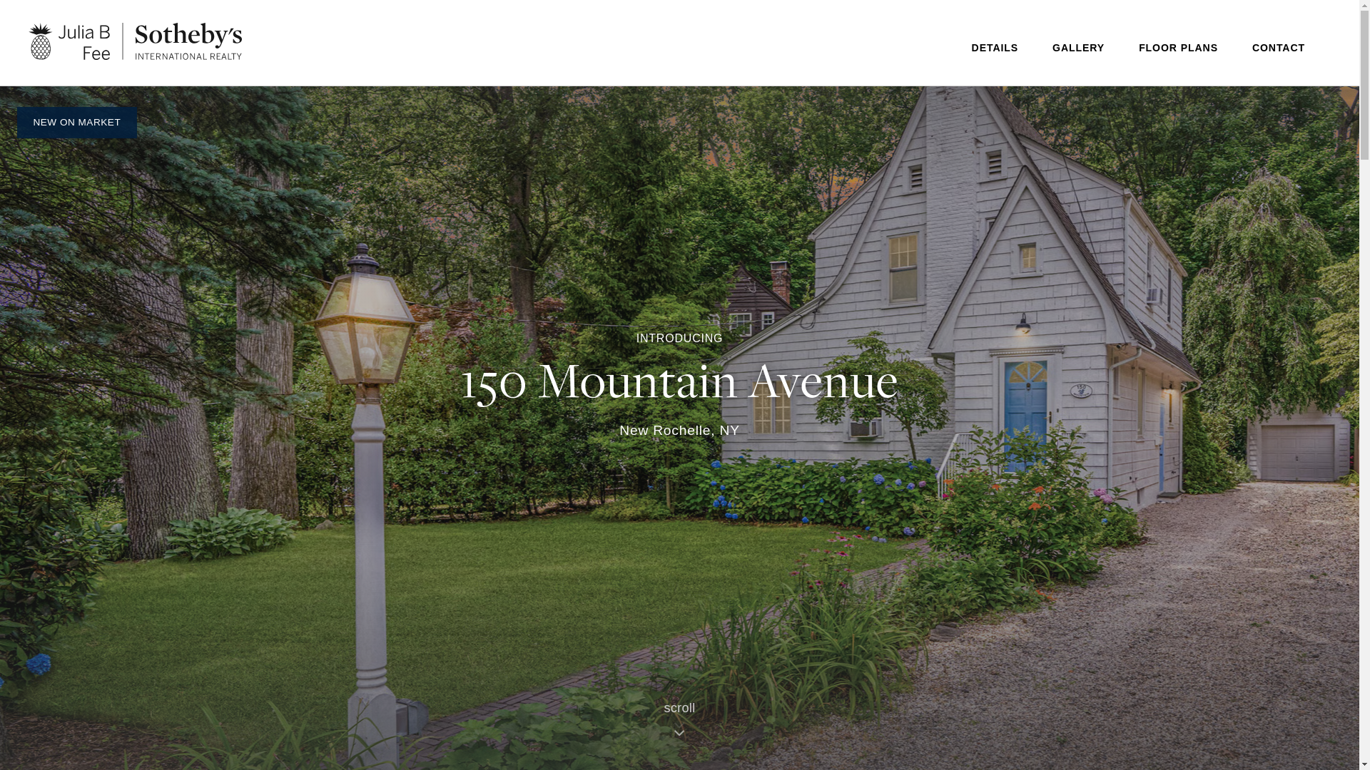 website screenshot of https://150mountainavenue.com/