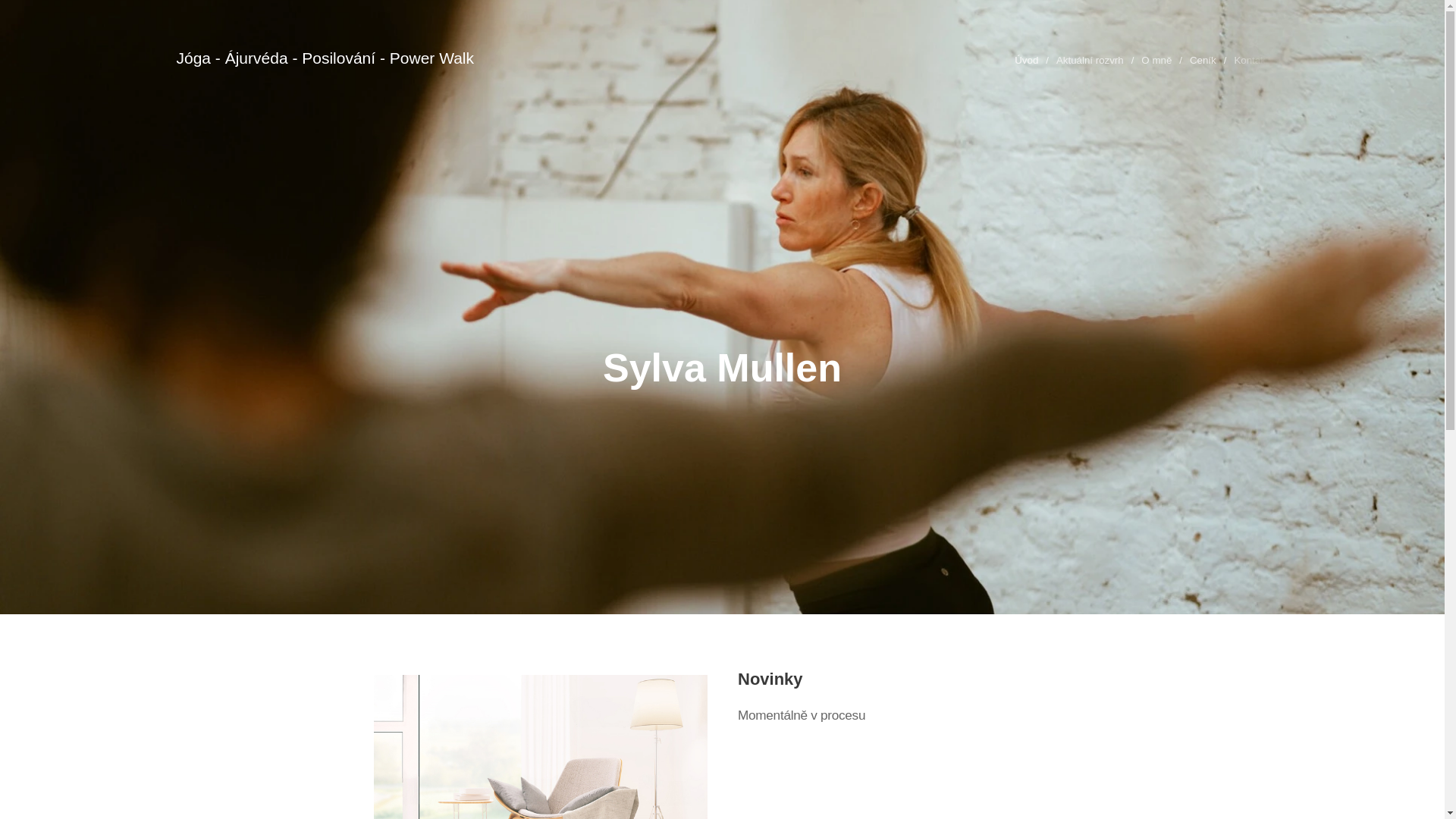 website screenshot of https://sylvamullen.cz/