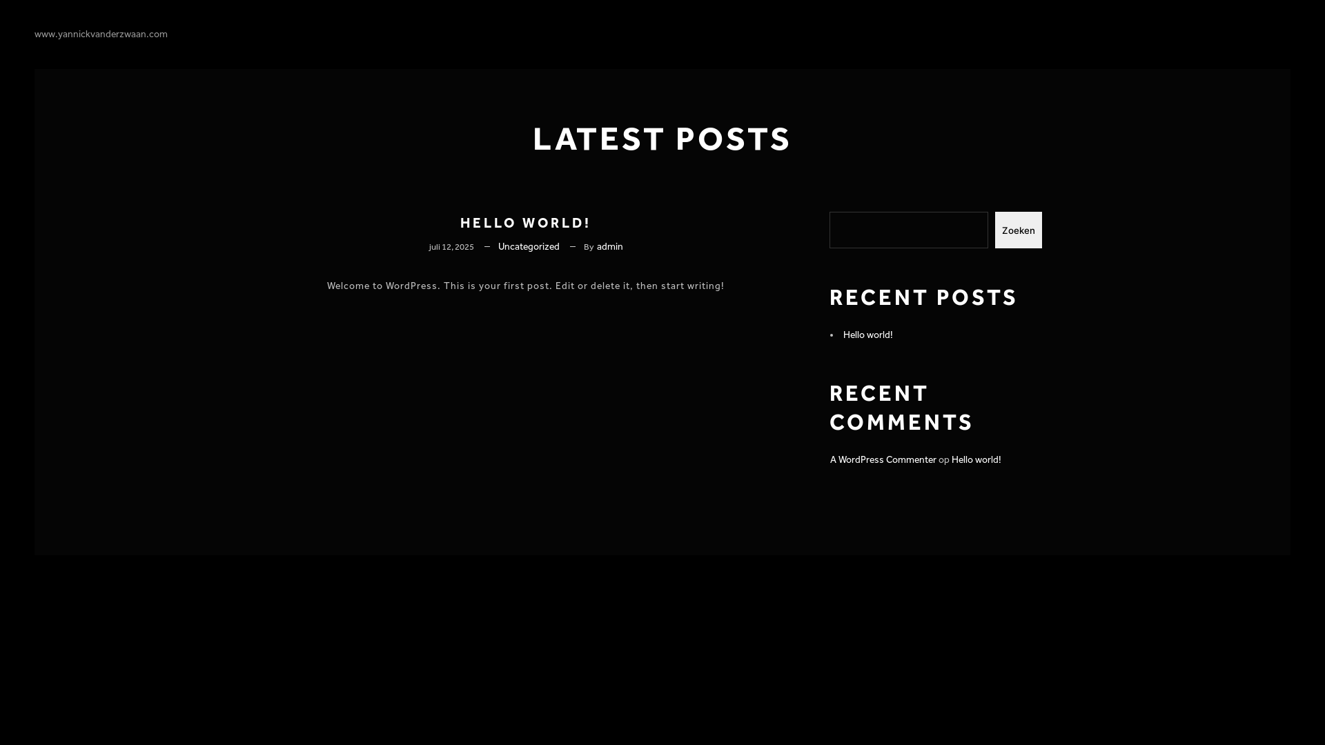 website screenshot of https://yannickvanderzwaan.com/