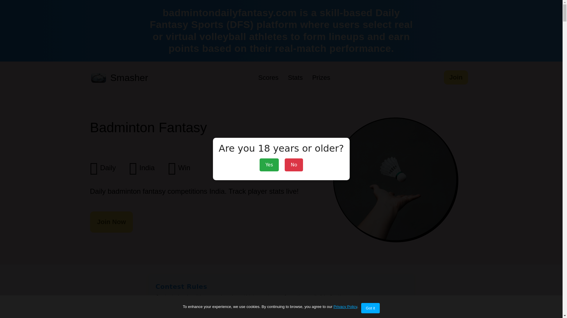 website screenshot of https://badmintondailyfantasy.com/