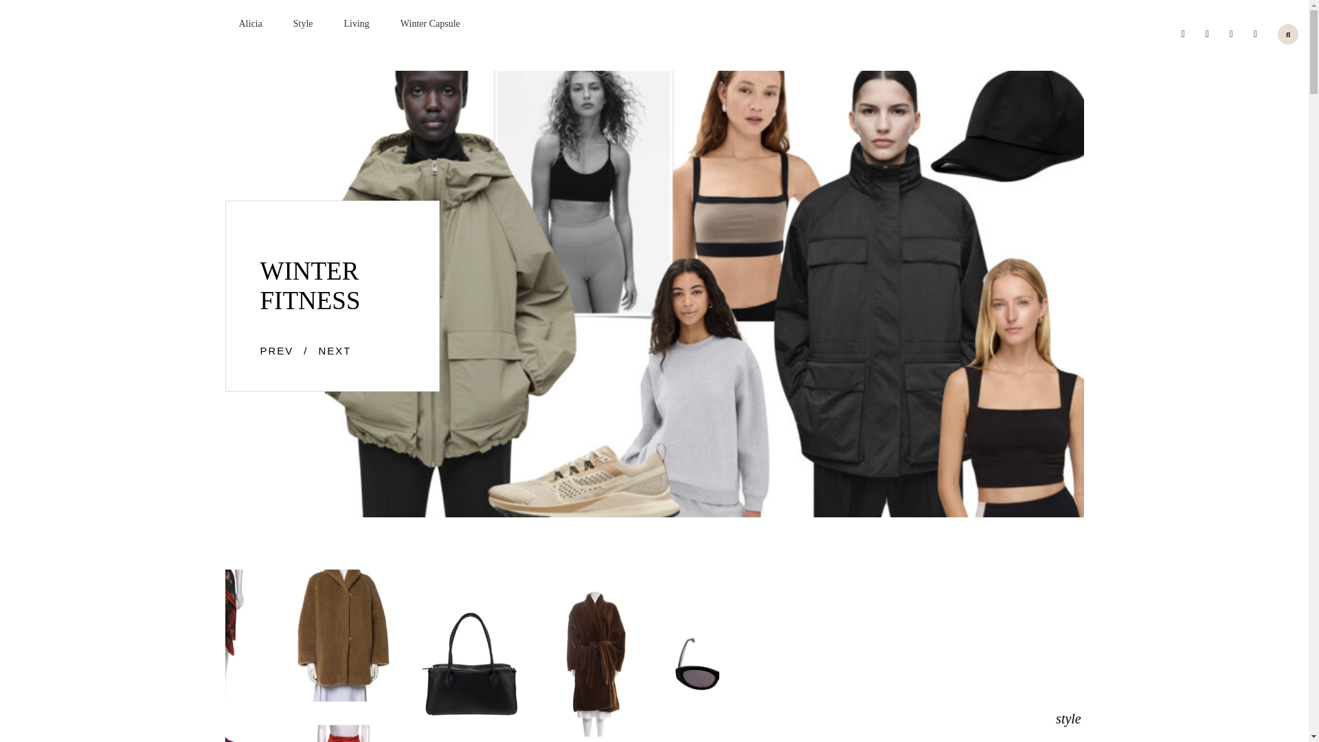 website screenshot of https://mystyleboost.com/