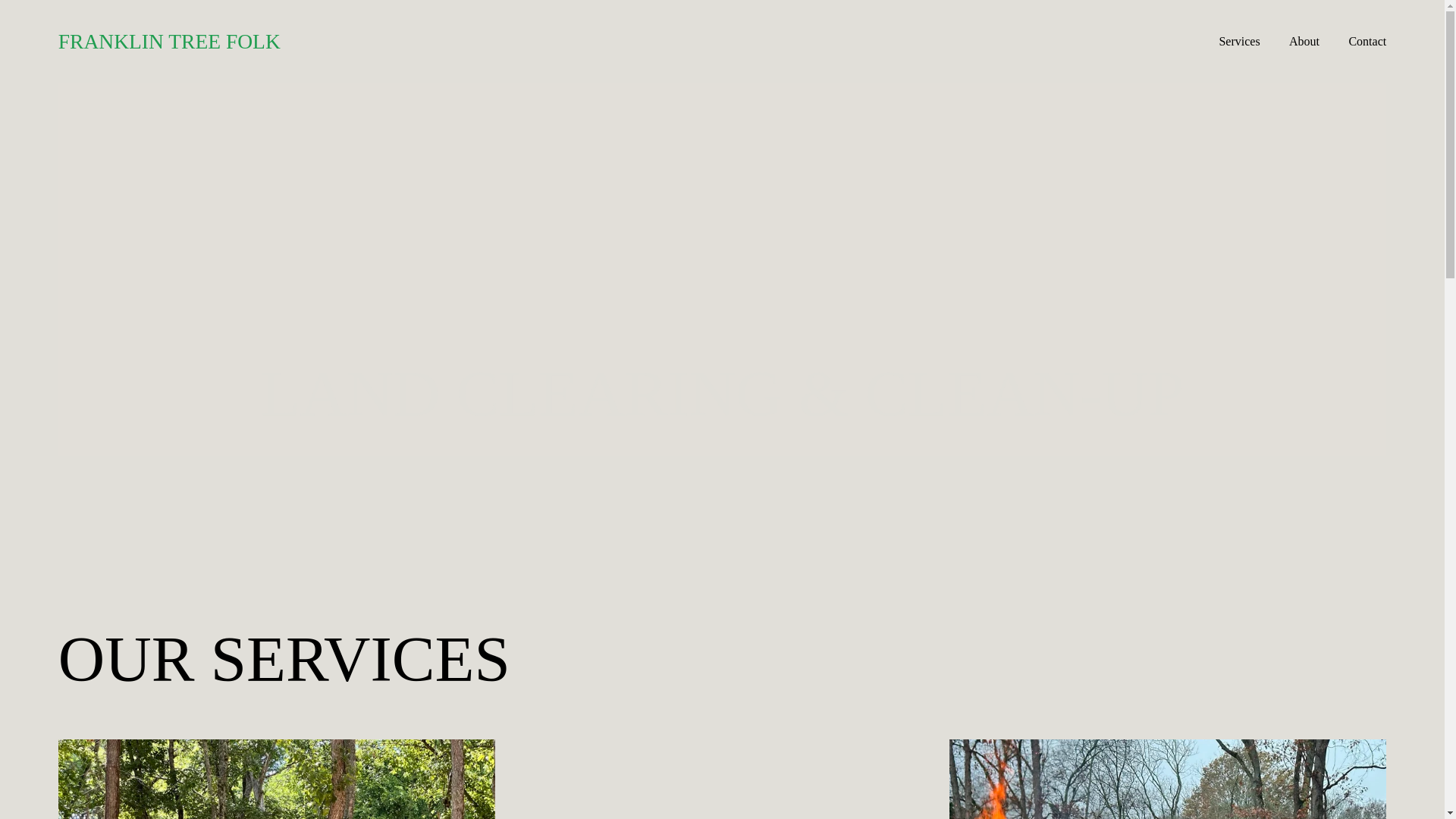 website screenshot of https://franklintreefolk.com/