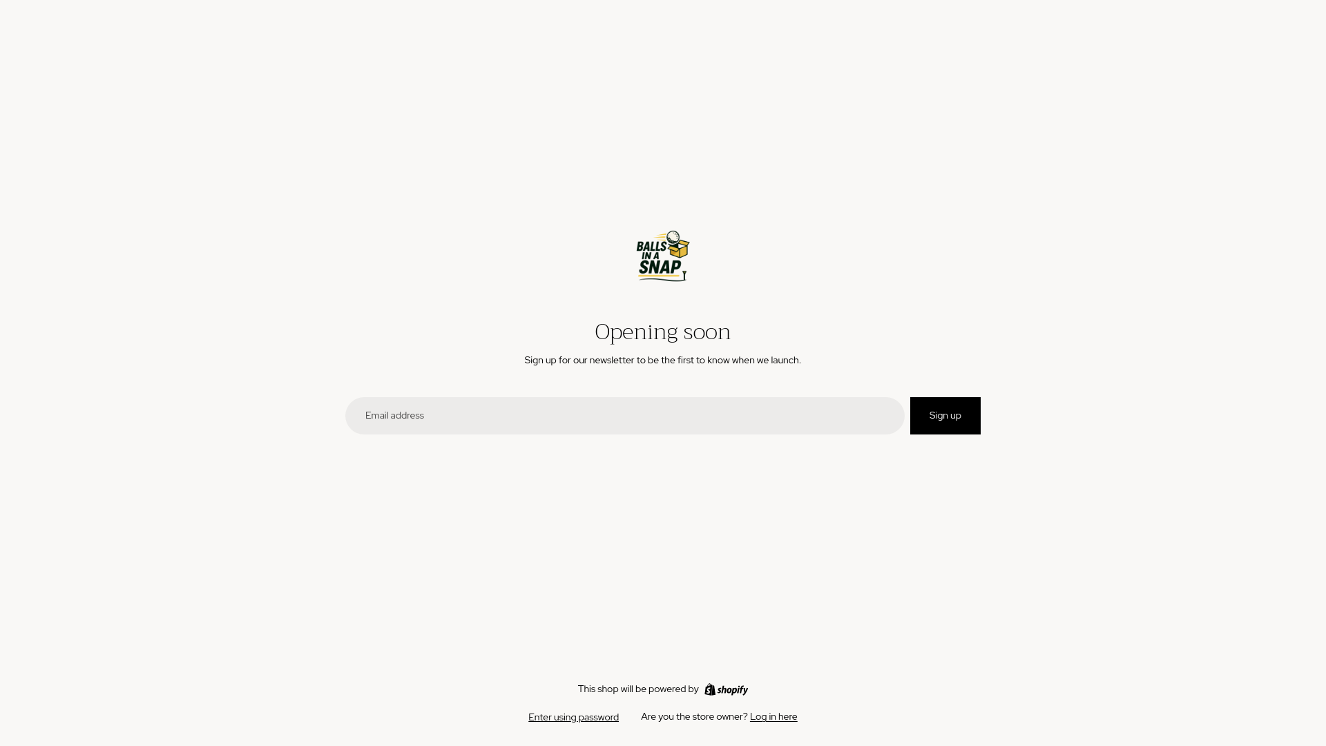 website screenshot of https://ballsinasnap.com/