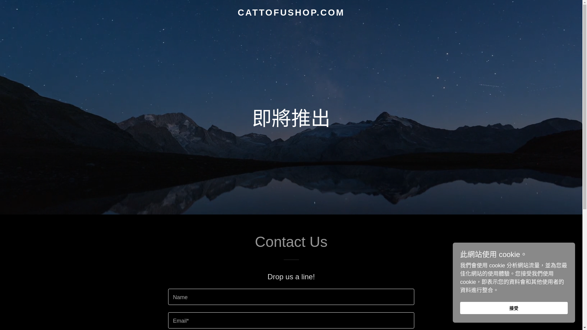 website screenshot of https://cattofushop.com/
