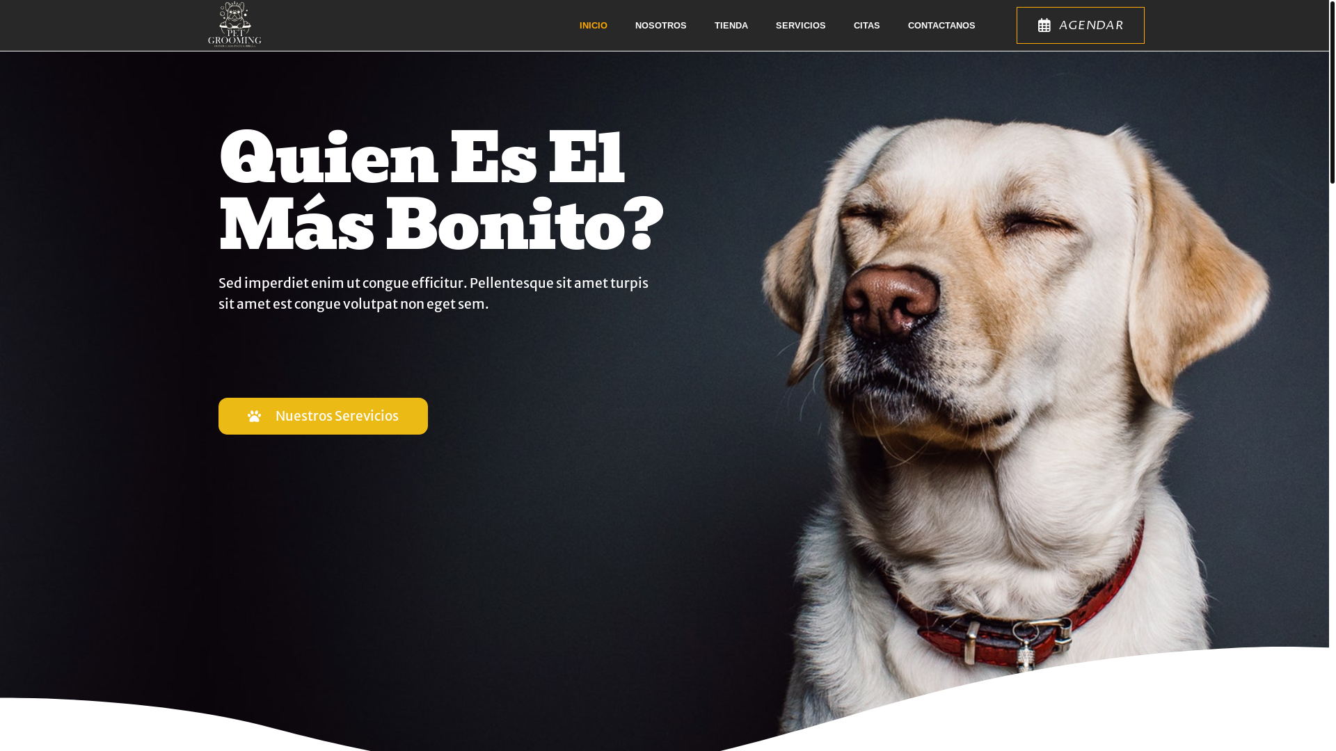 website screenshot of https://pets-grooming.shop/