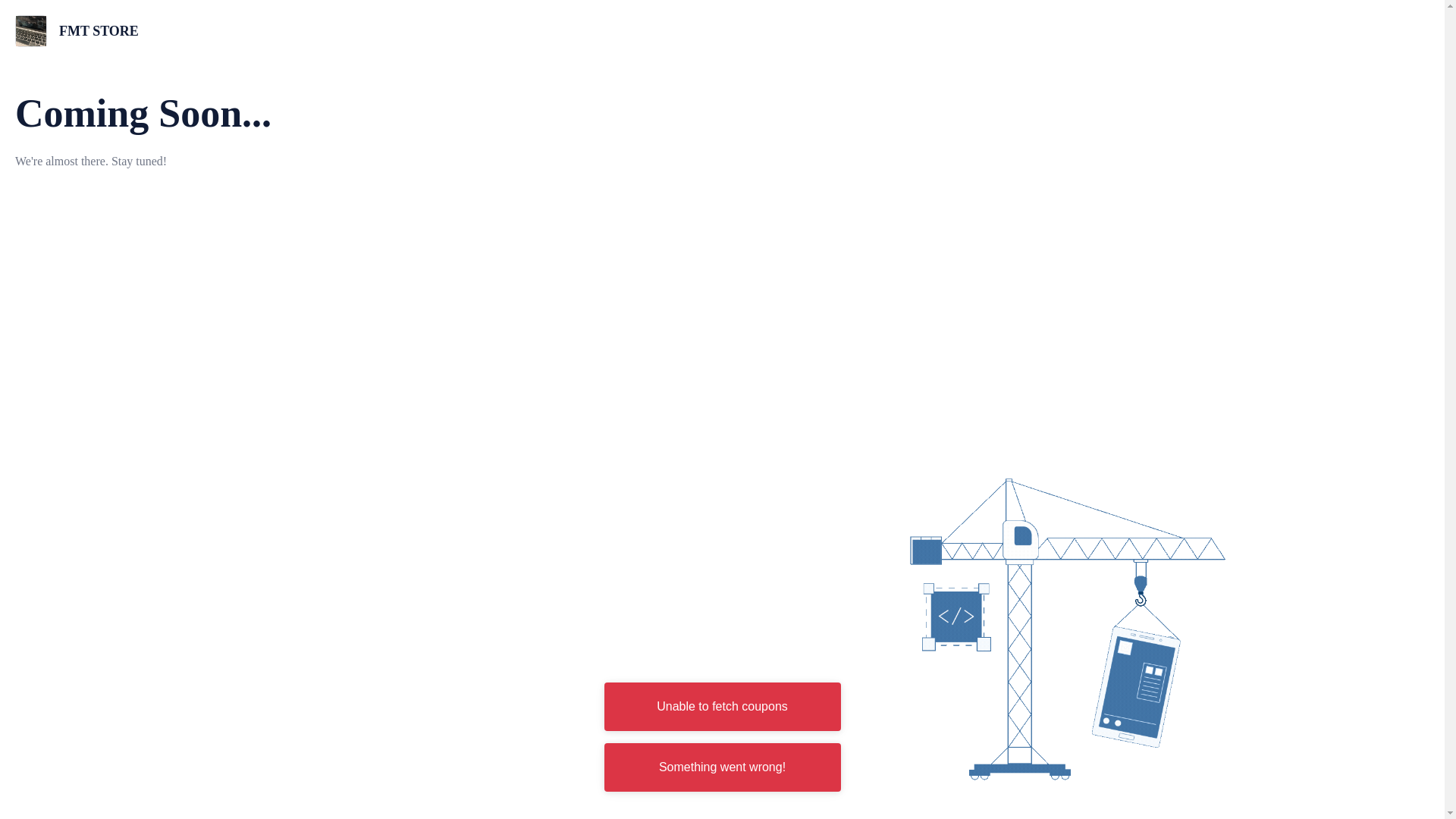 website screenshot of https://fmtstore.co.in/