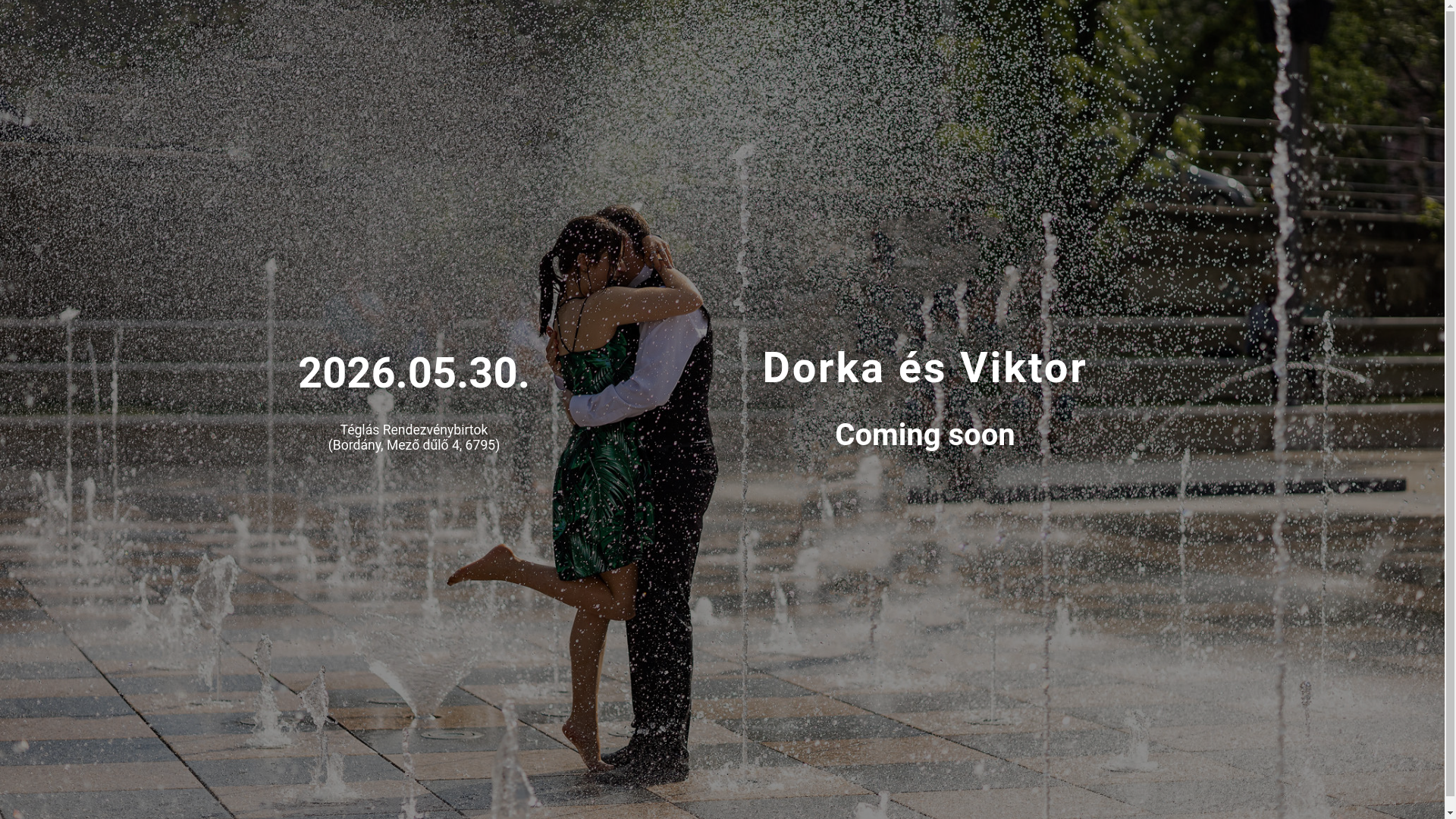 website screenshot of https://dorkaesviktor.com/
