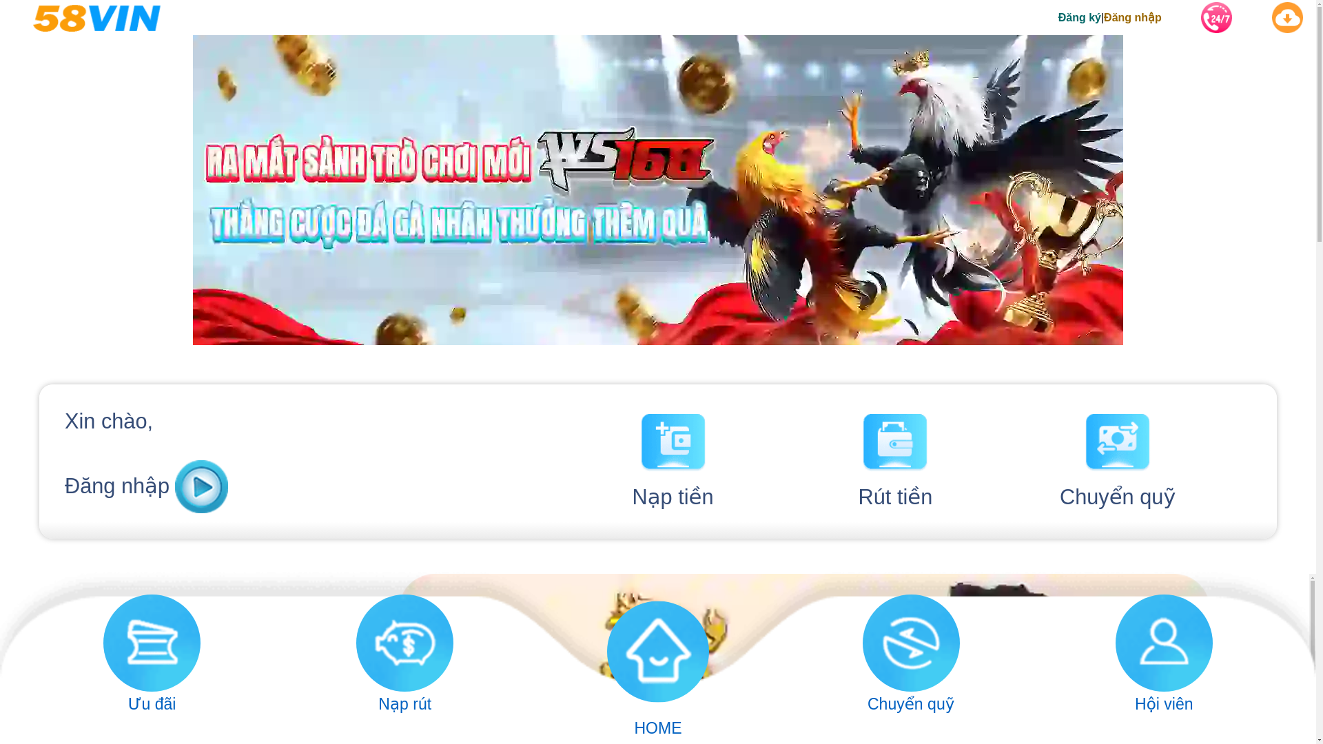 website screenshot of https://58vin.pro/