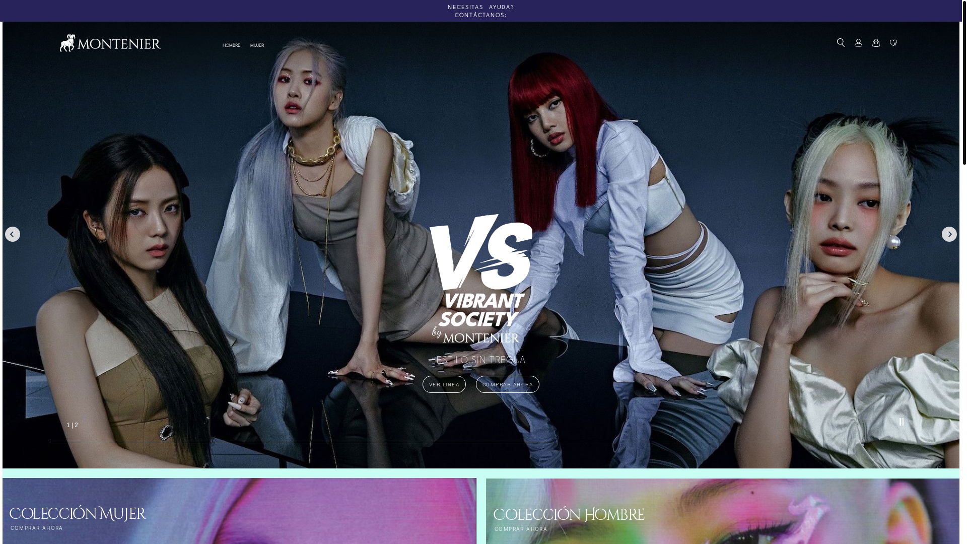 website screenshot of https://montenier.com/