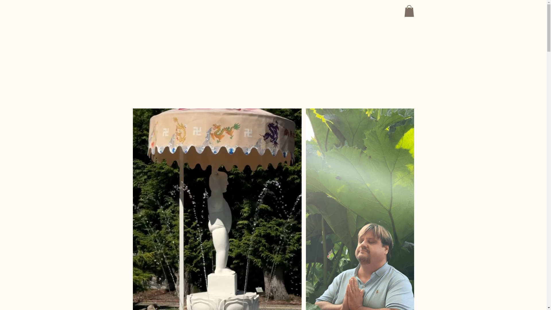 website screenshot of https://healingwithmartin.com/