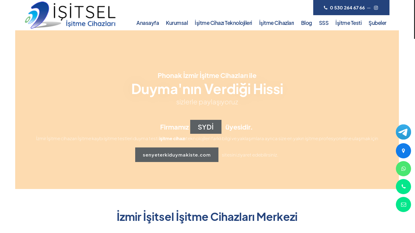 website screenshot of https://www.isitsel.com.tr