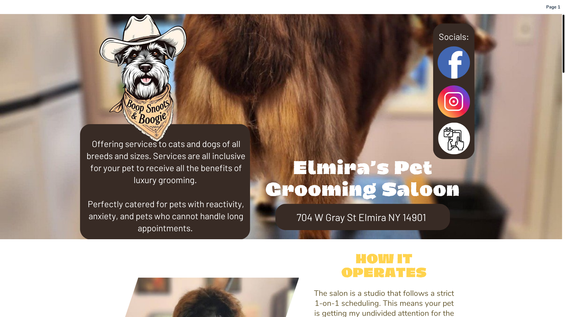 website screenshot of https://elmiragroomer.com/