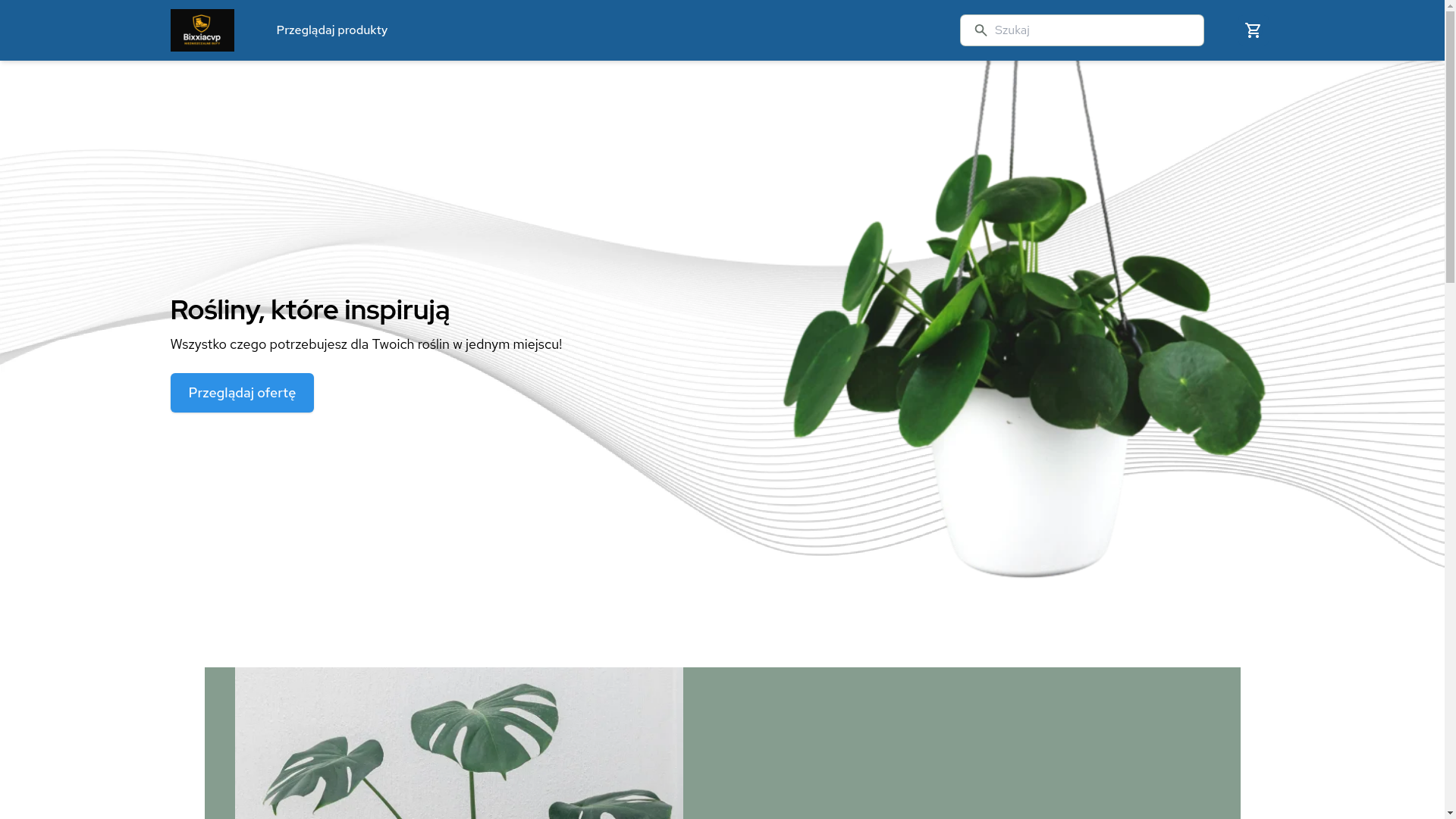 website screenshot of https://bixxiacvp.pl/