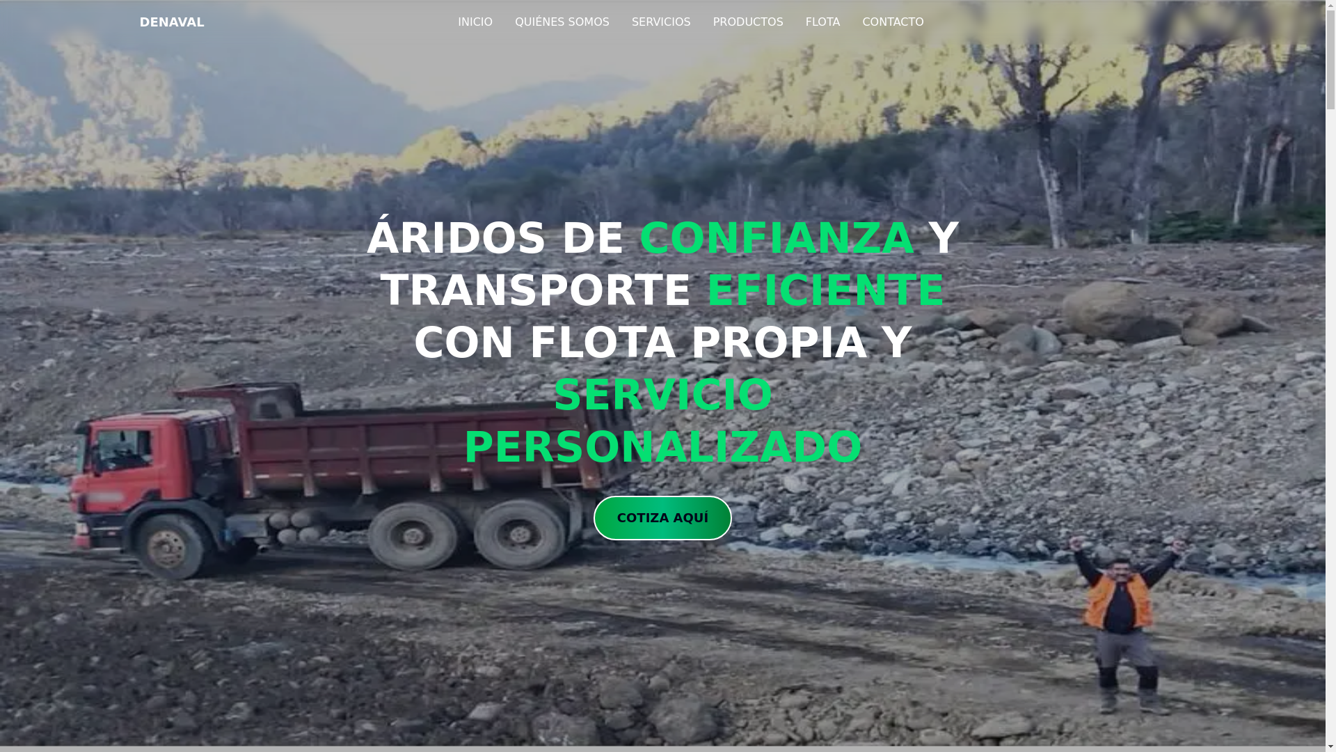 website screenshot of https://denaval.cl/