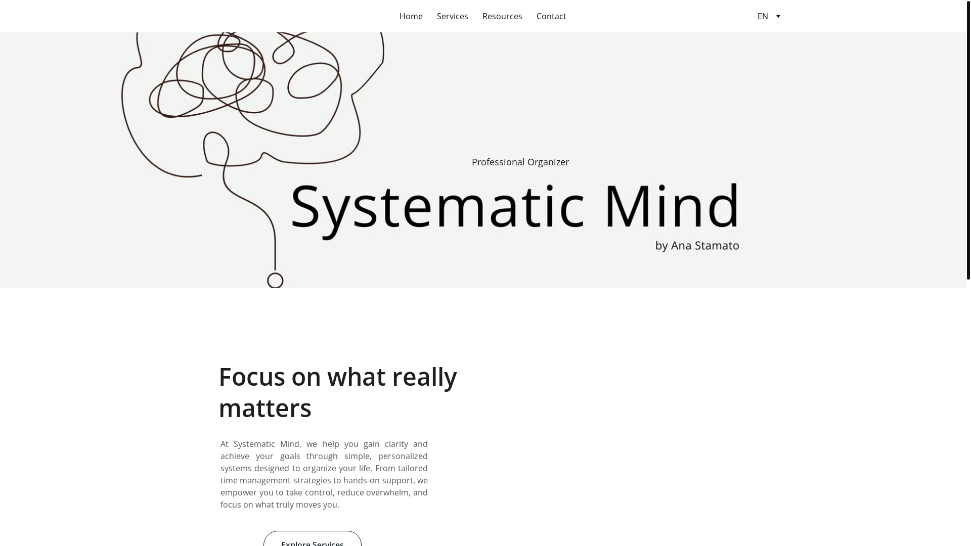 website screenshot of https://systematicmind.ie/