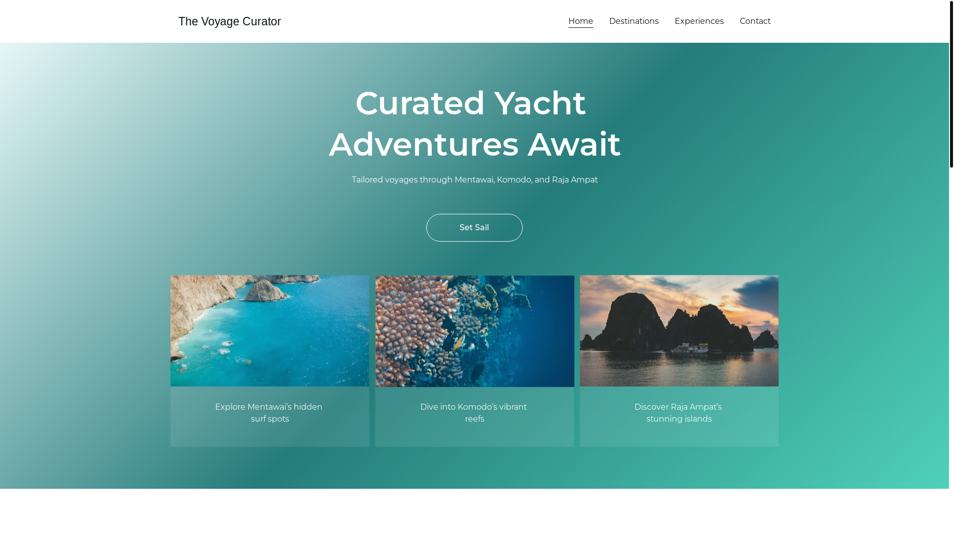 website screenshot of https://thevoyagecurator.com/