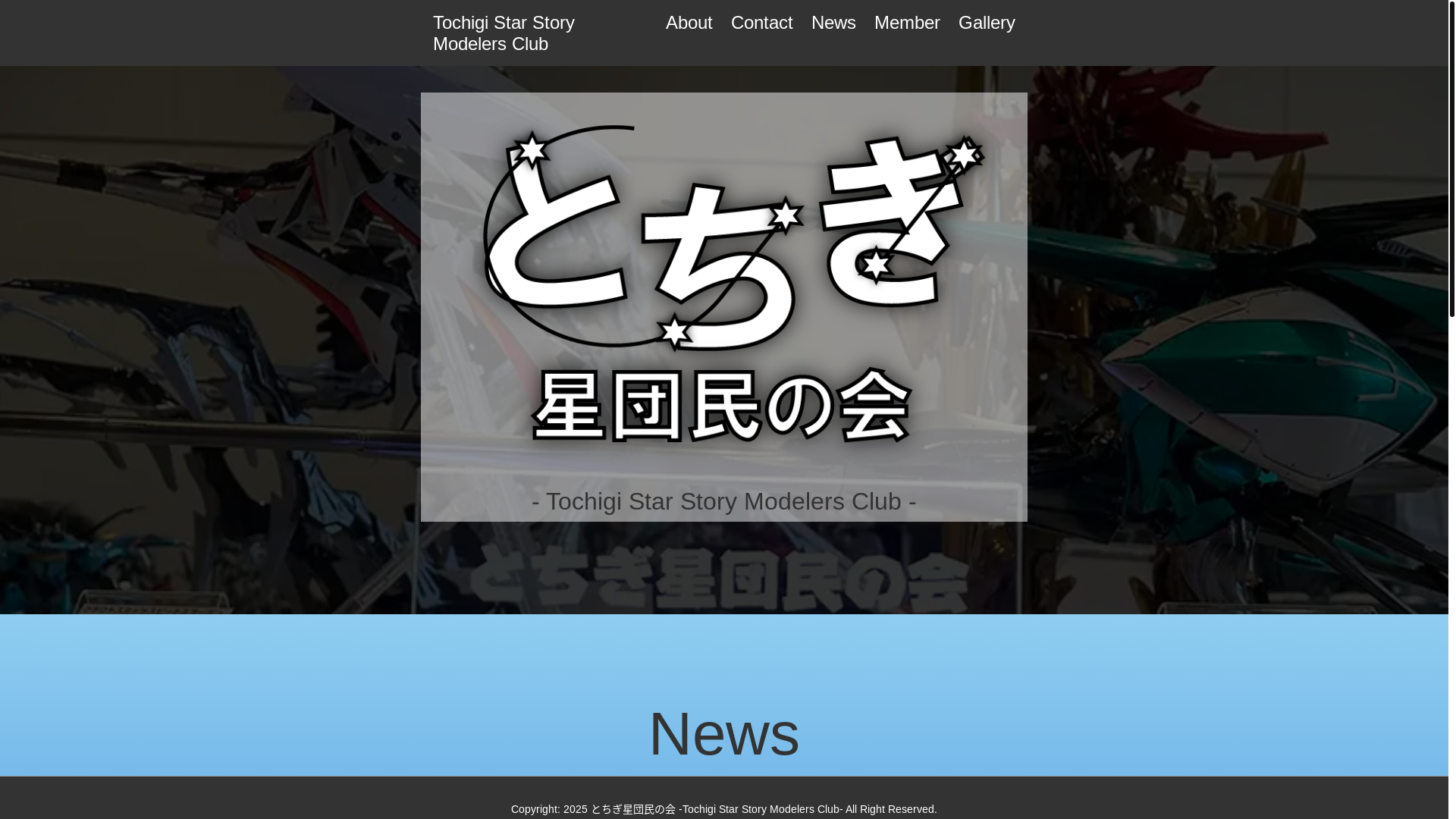 website screenshot of https://tochigi-seidanmin.pages.dev/