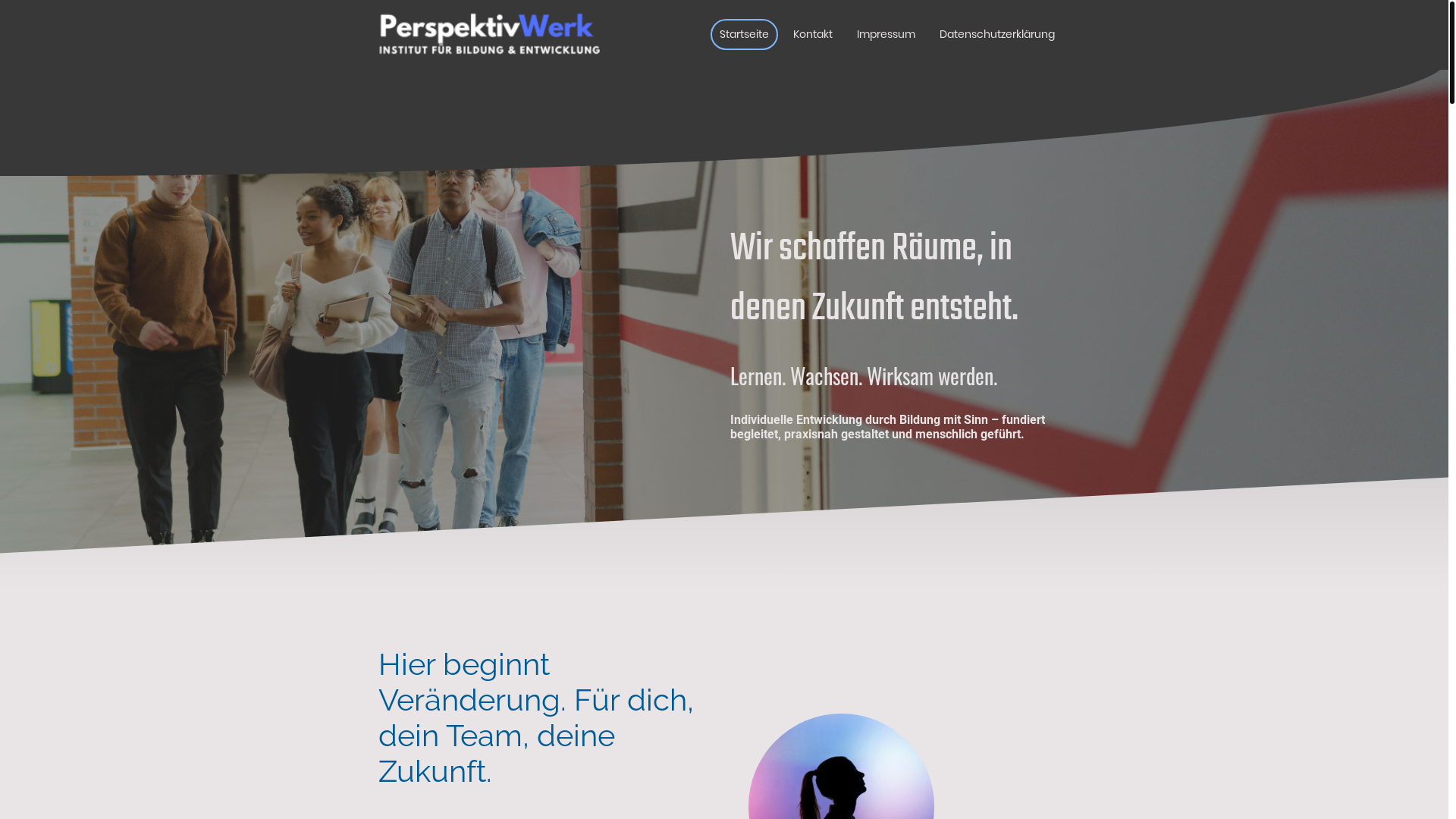 website screenshot of https://perspektivwerk-institut.de/