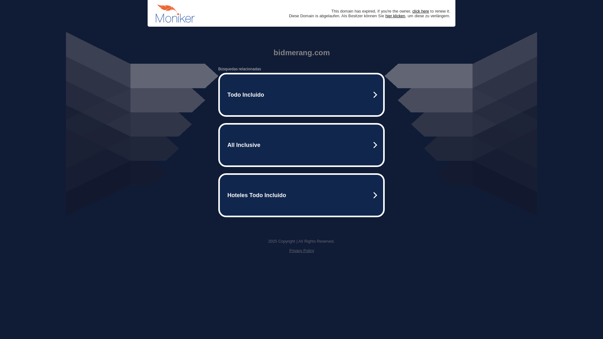 website screenshot of https://bidmerang.com/