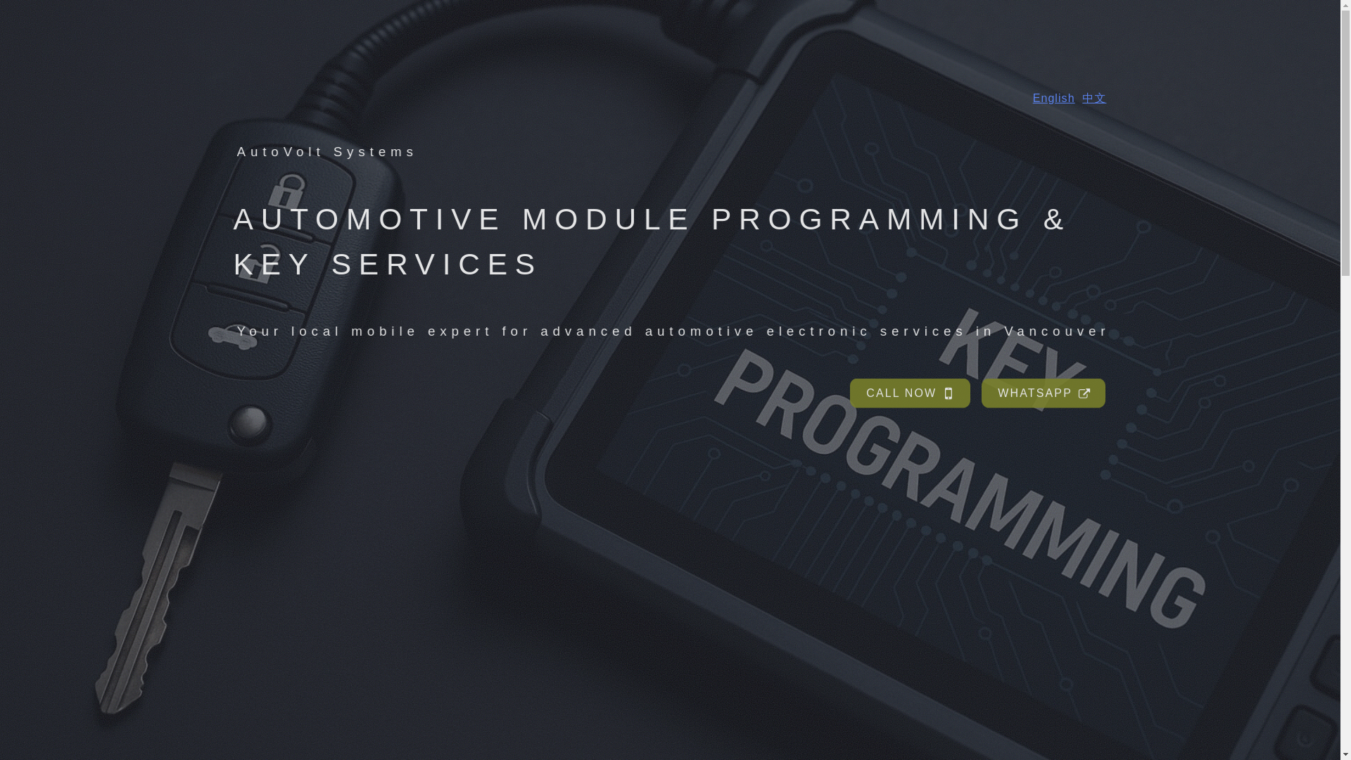 website screenshot of https://autovoltsystems.com/