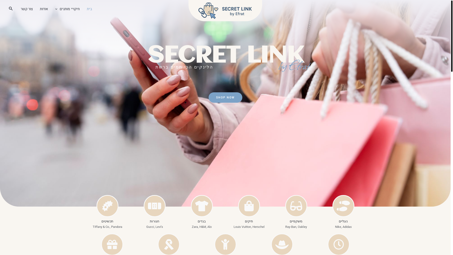 website screenshot of https://secretlink.co.il/