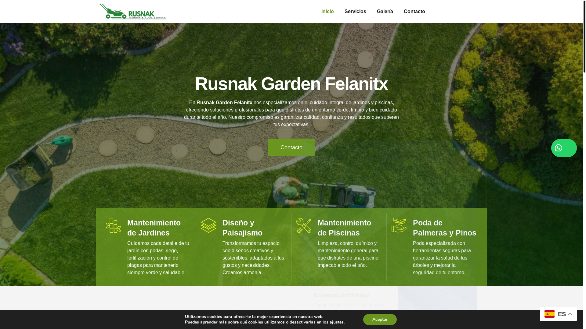 website screenshot of https://rusnakservice.com/