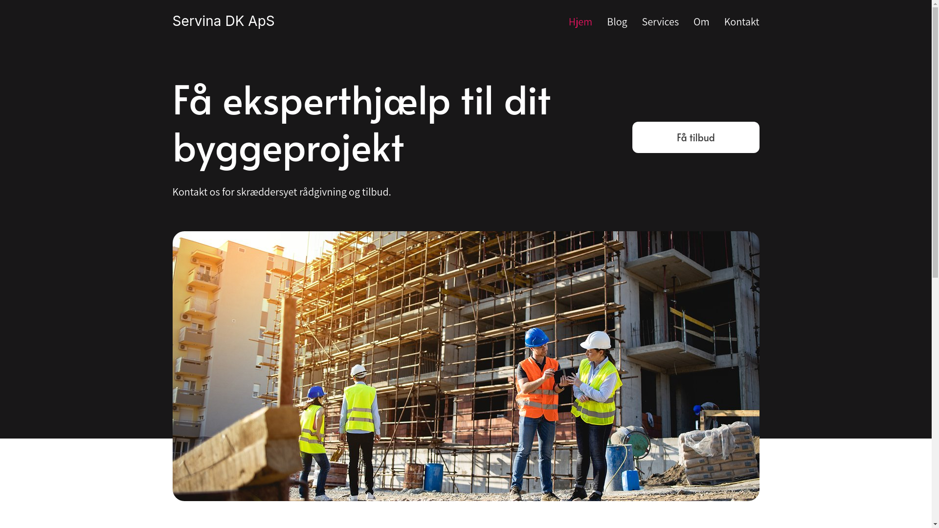 website screenshot of https://servinadk.com/