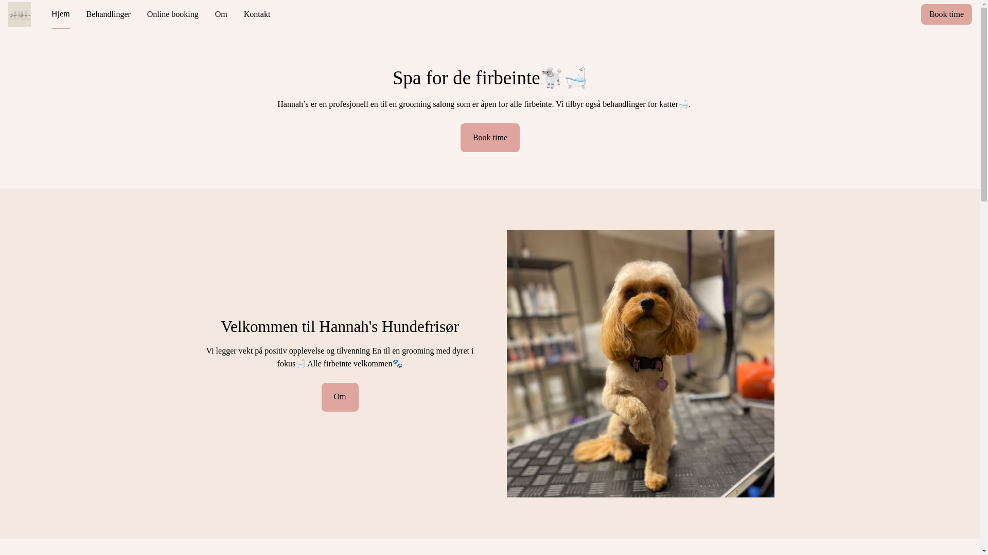 website screenshot of https://hannahshundefrisor.no/