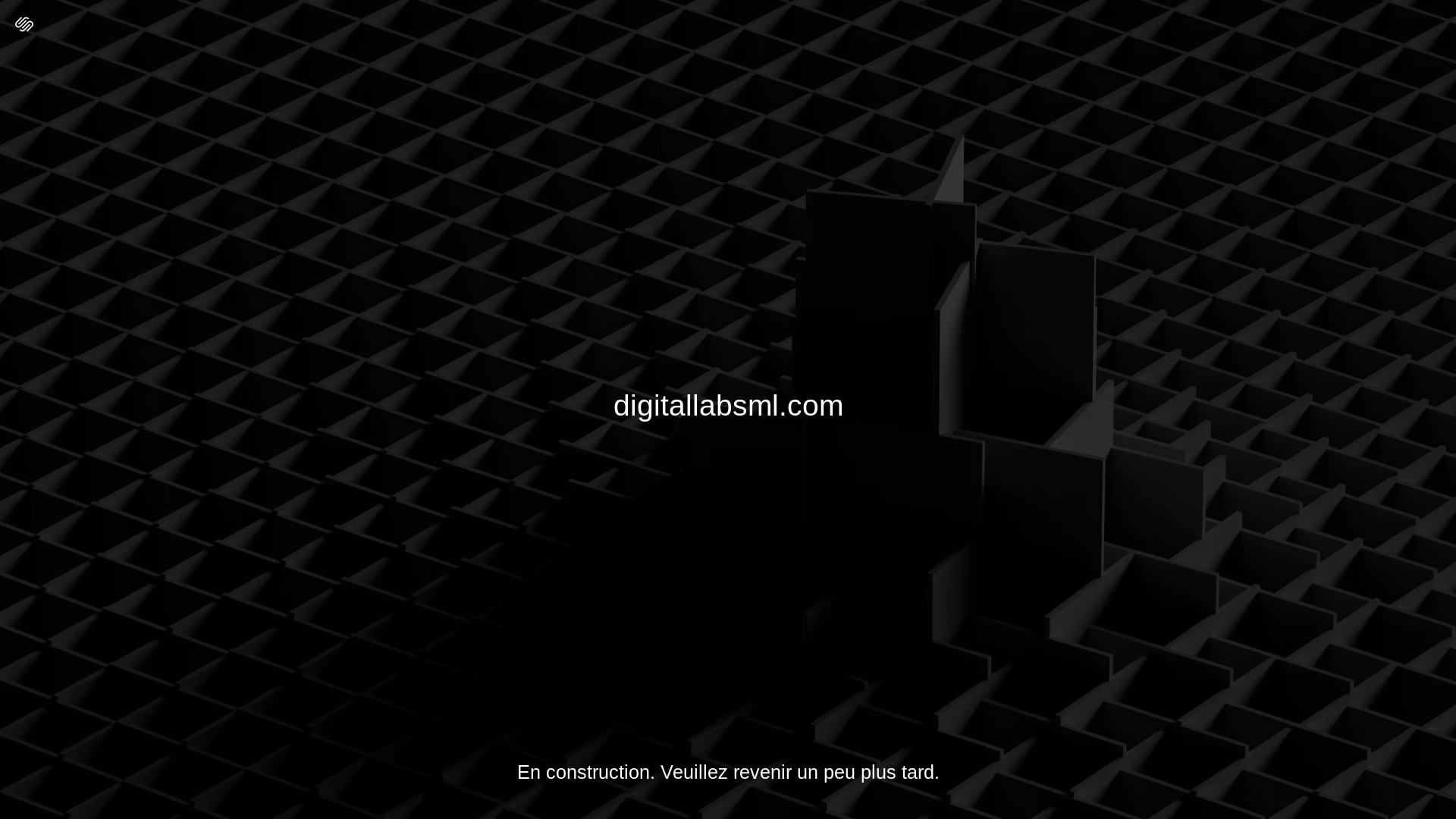 website screenshot of https://digitallabsml.com/
