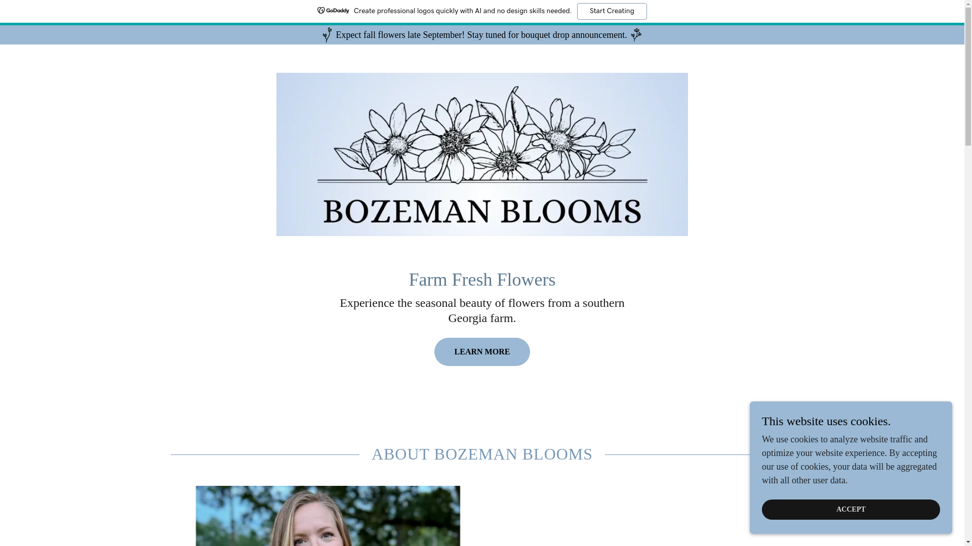 website screenshot of https://bozemanblooms.com/