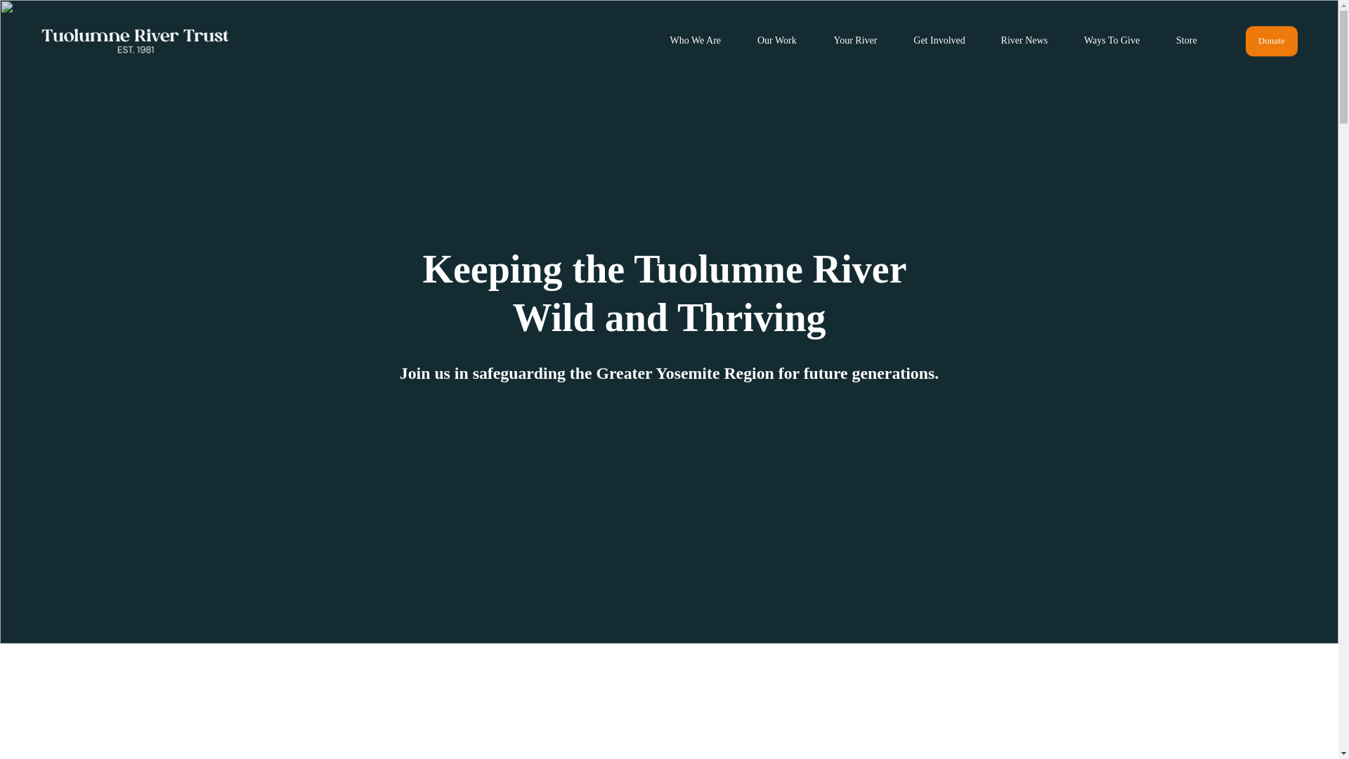 website screenshot of https://yosemiterivers.net/